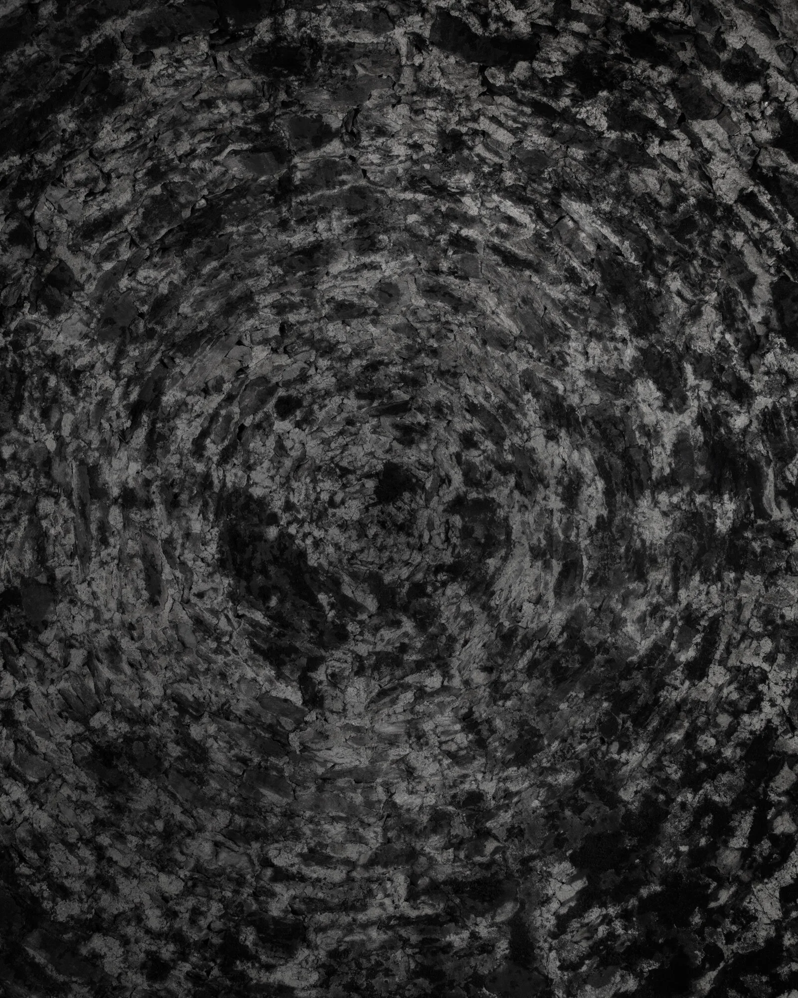 VIII 2019 carbon inkjet print