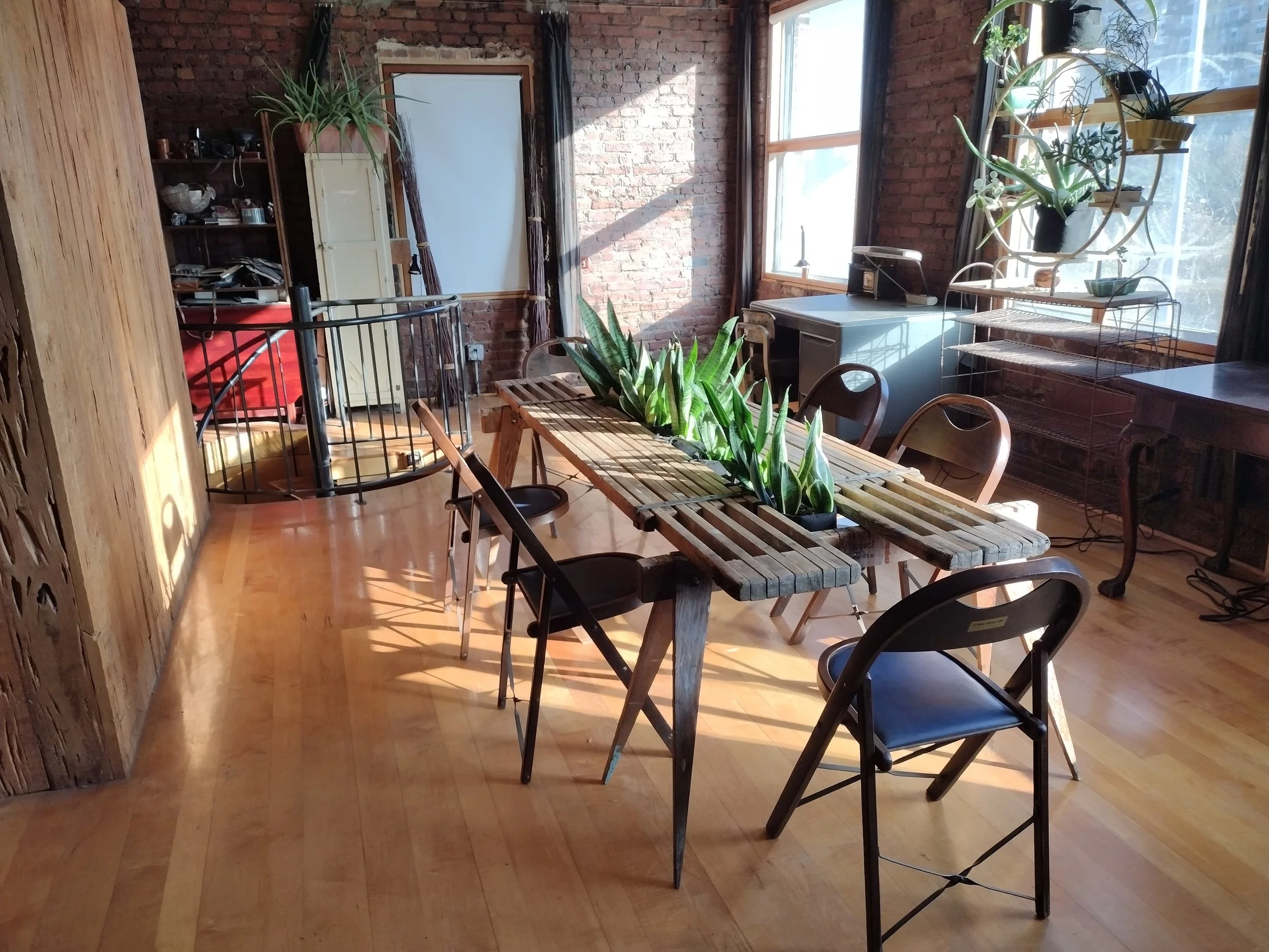 Sunlit indoor room with a wooden table decorated with potted green plants, surrounded by black and wooden chairs, brick wall, and large windows with plants on shelves and a desk.