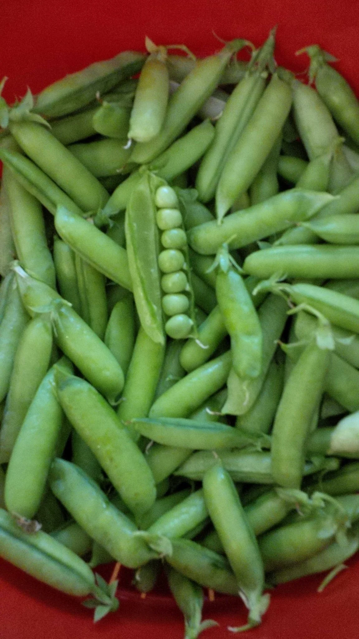 peas.jpg