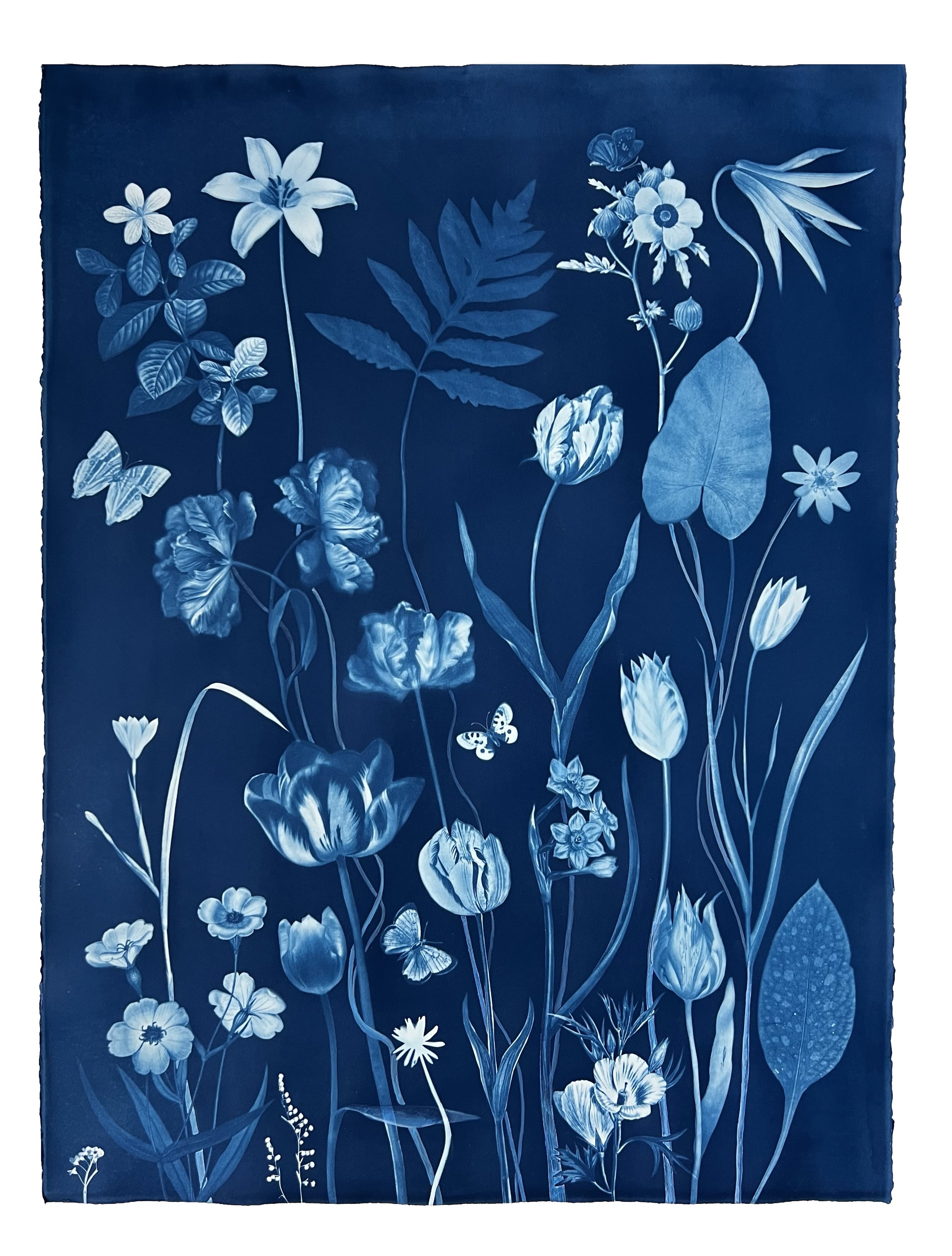 Nocturnal Nature (Orchid, Leaves, Hellebore, Hummingbird, etc), 2022, 30" x 23” watercolor, India ink, gouache and cyanotype on Arches Platine paper   Available through Kenise Barnes Fine Art   