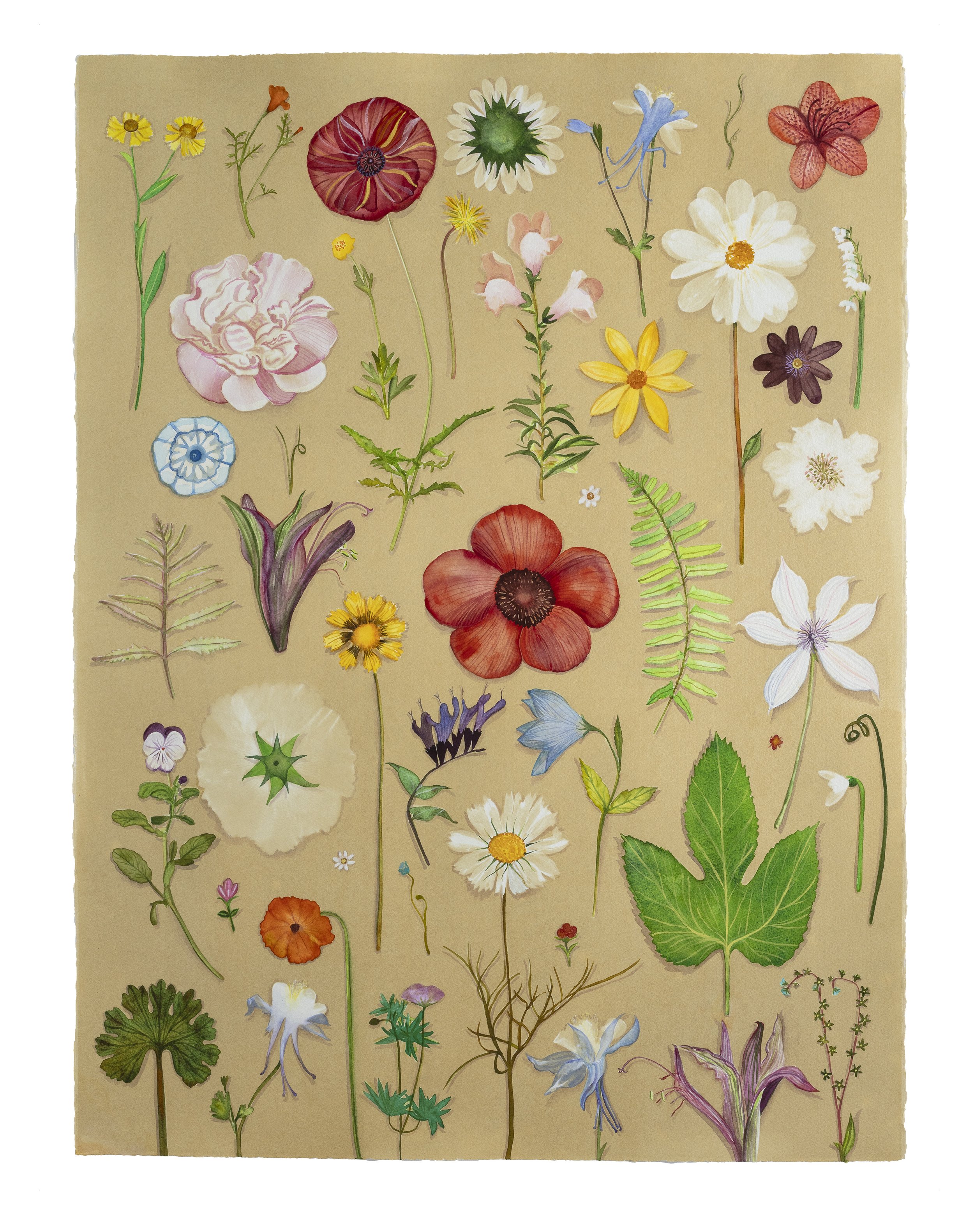 JWB_Luminous Nature:Herbarium II.jpg