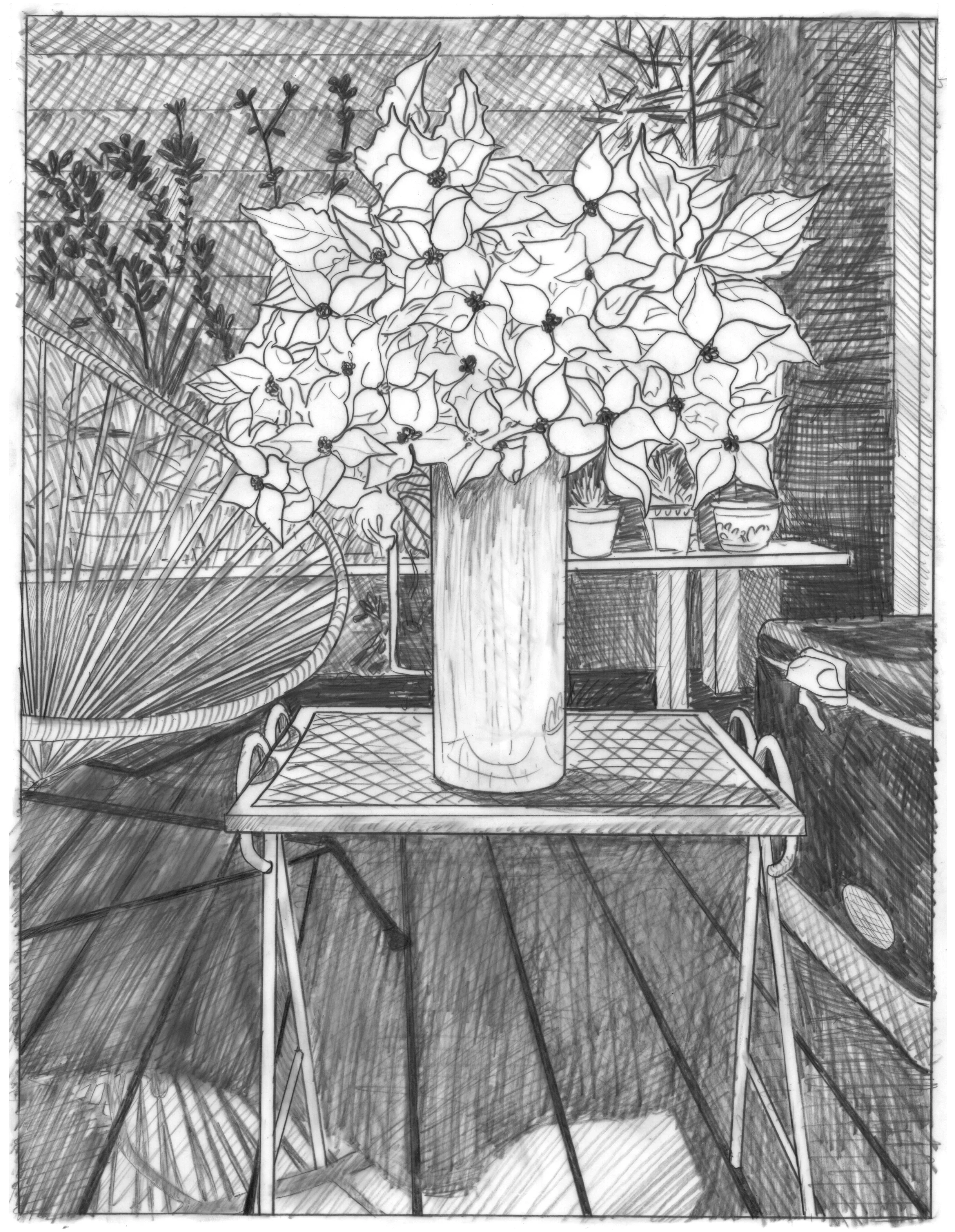 Greenpoint Dogwood/Domestic Bliss (graphite)