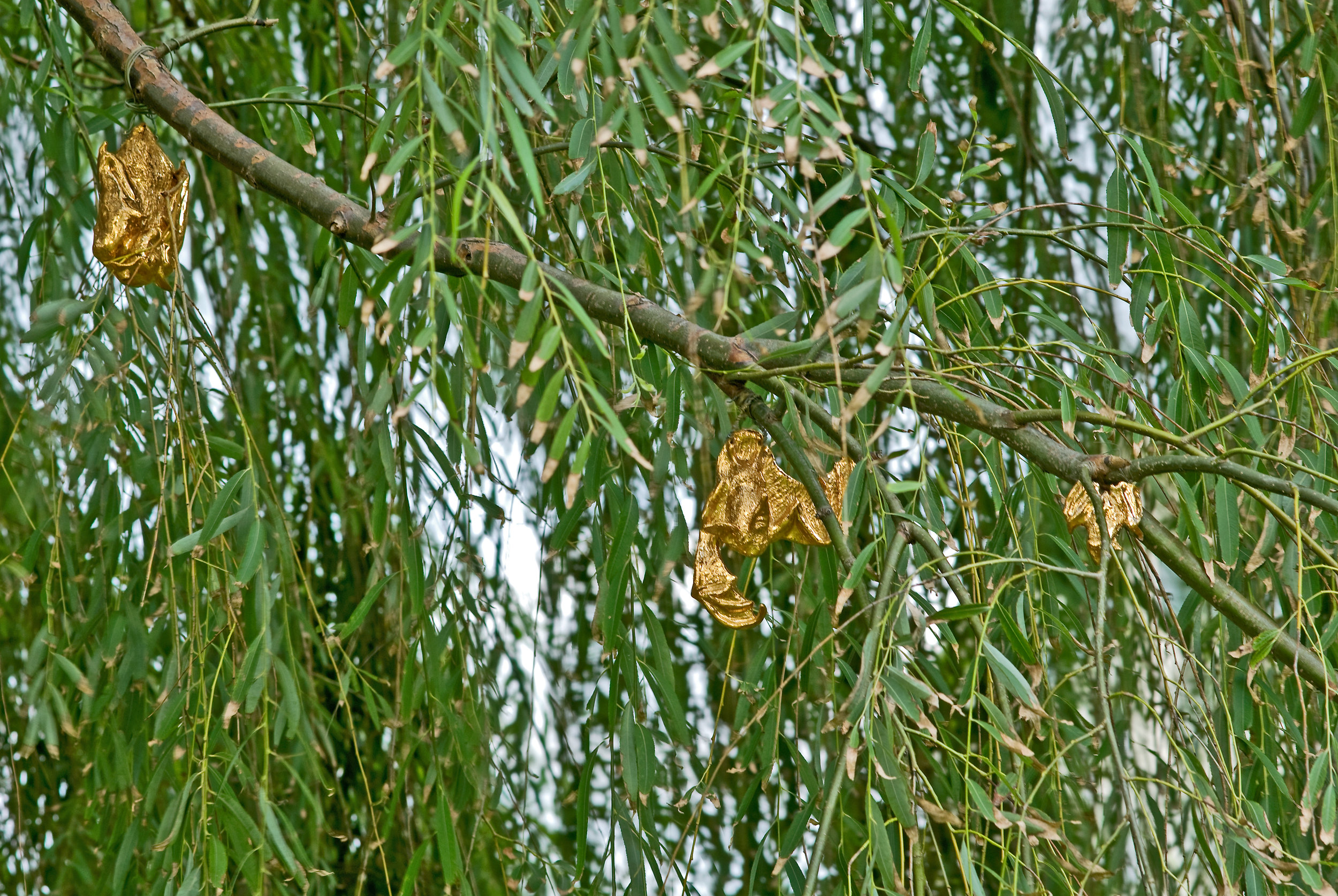 Gilded Phytophillic Bats (Brooklyn Bridge Park)