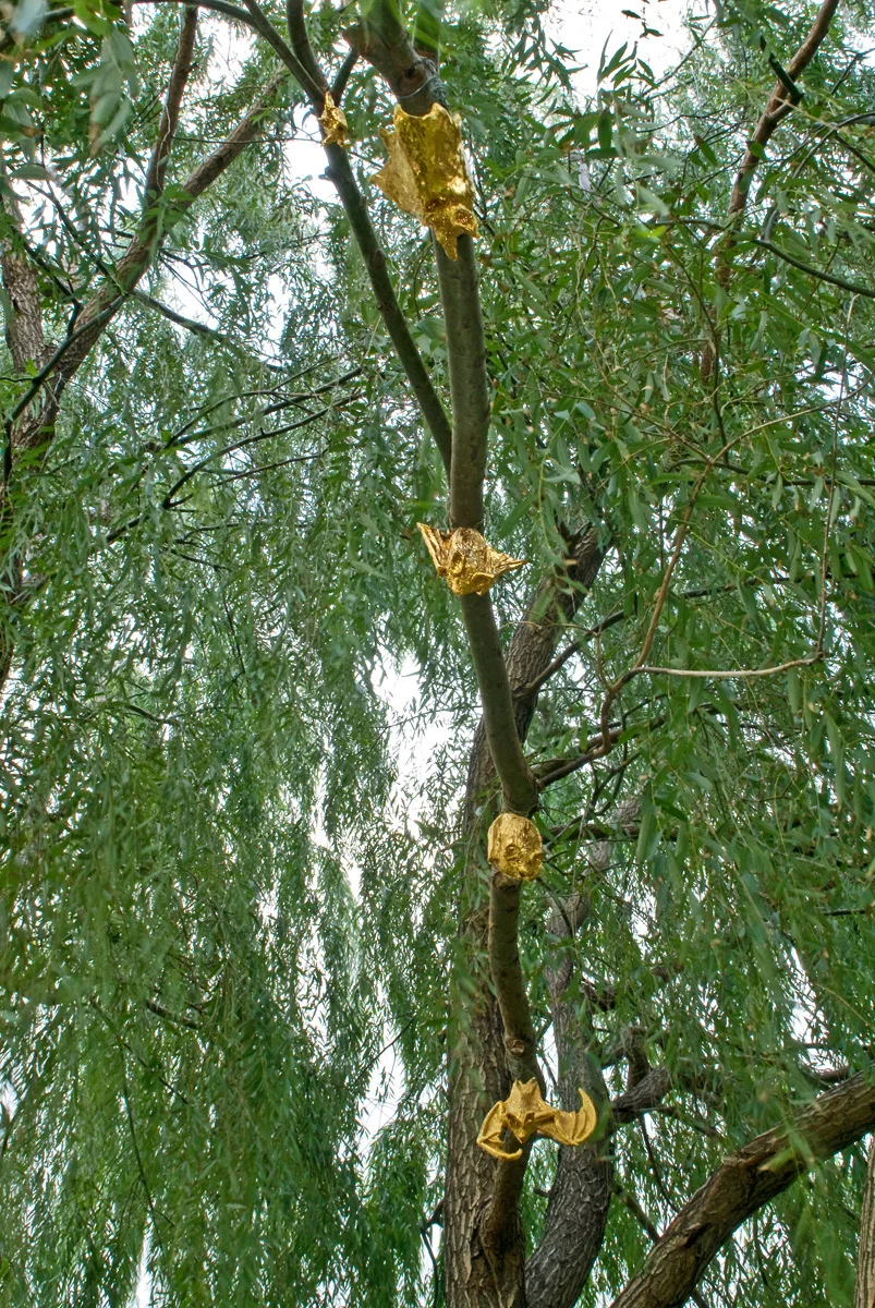 Gilded Phytophillic Bats (Brooklyn Bridge Park)