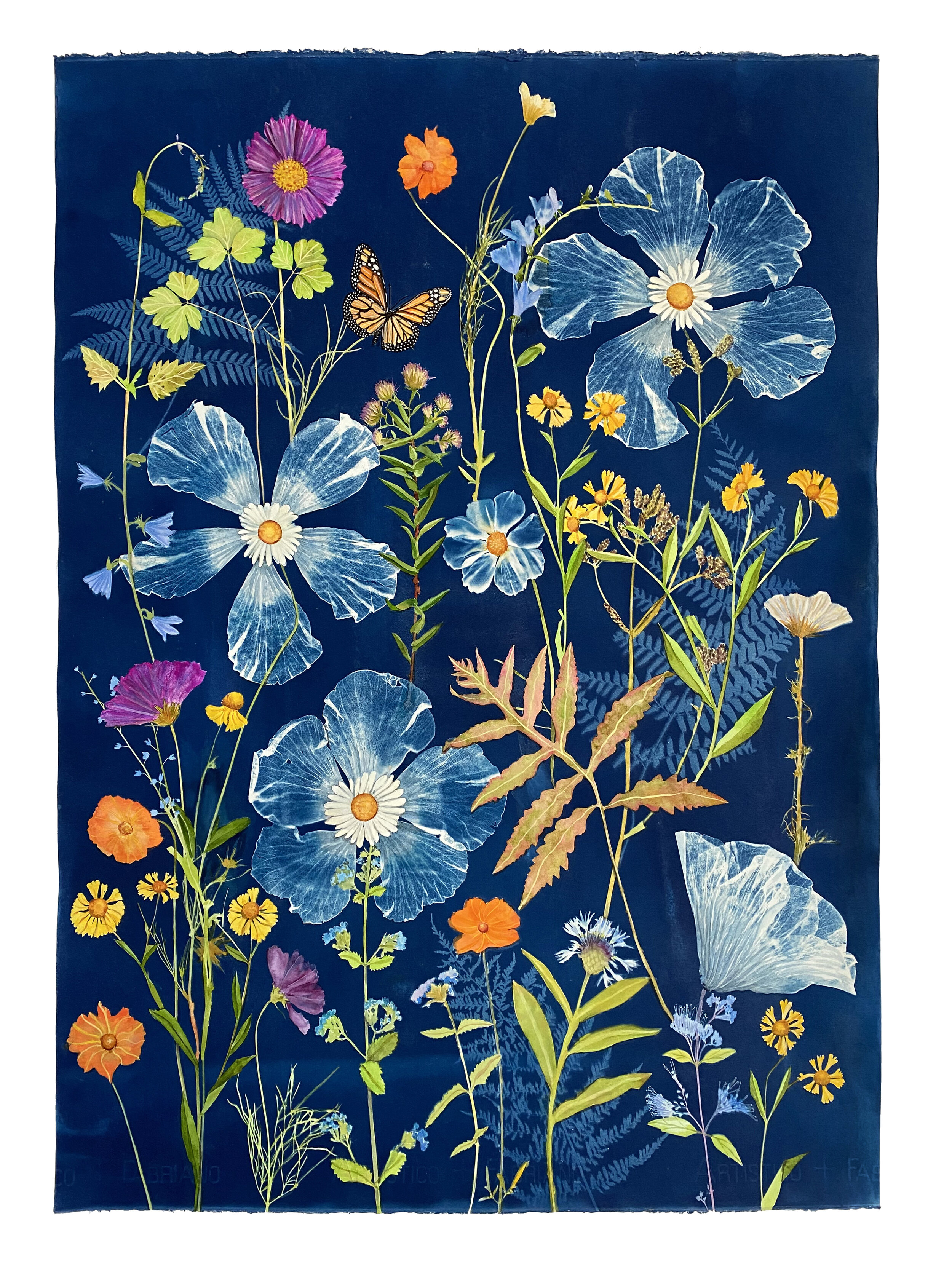 Cyanotype Painting (Hibiscus, Daisies, Cosmos, Ferns, Monarch)