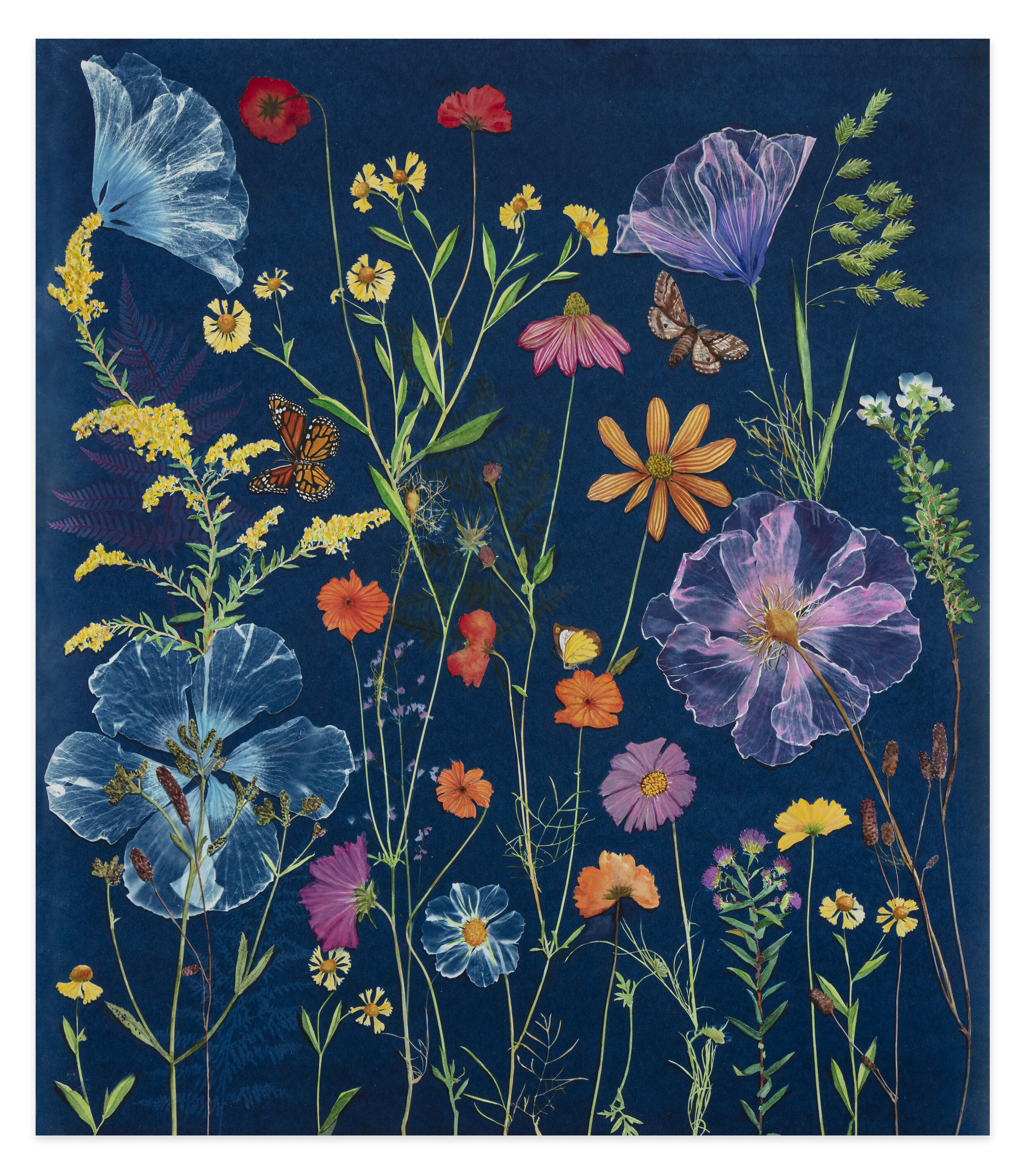 Cyanotype Painting (Hibiscus. Goldenrod, Poppies, Cosmos, Pollinators, etc)
