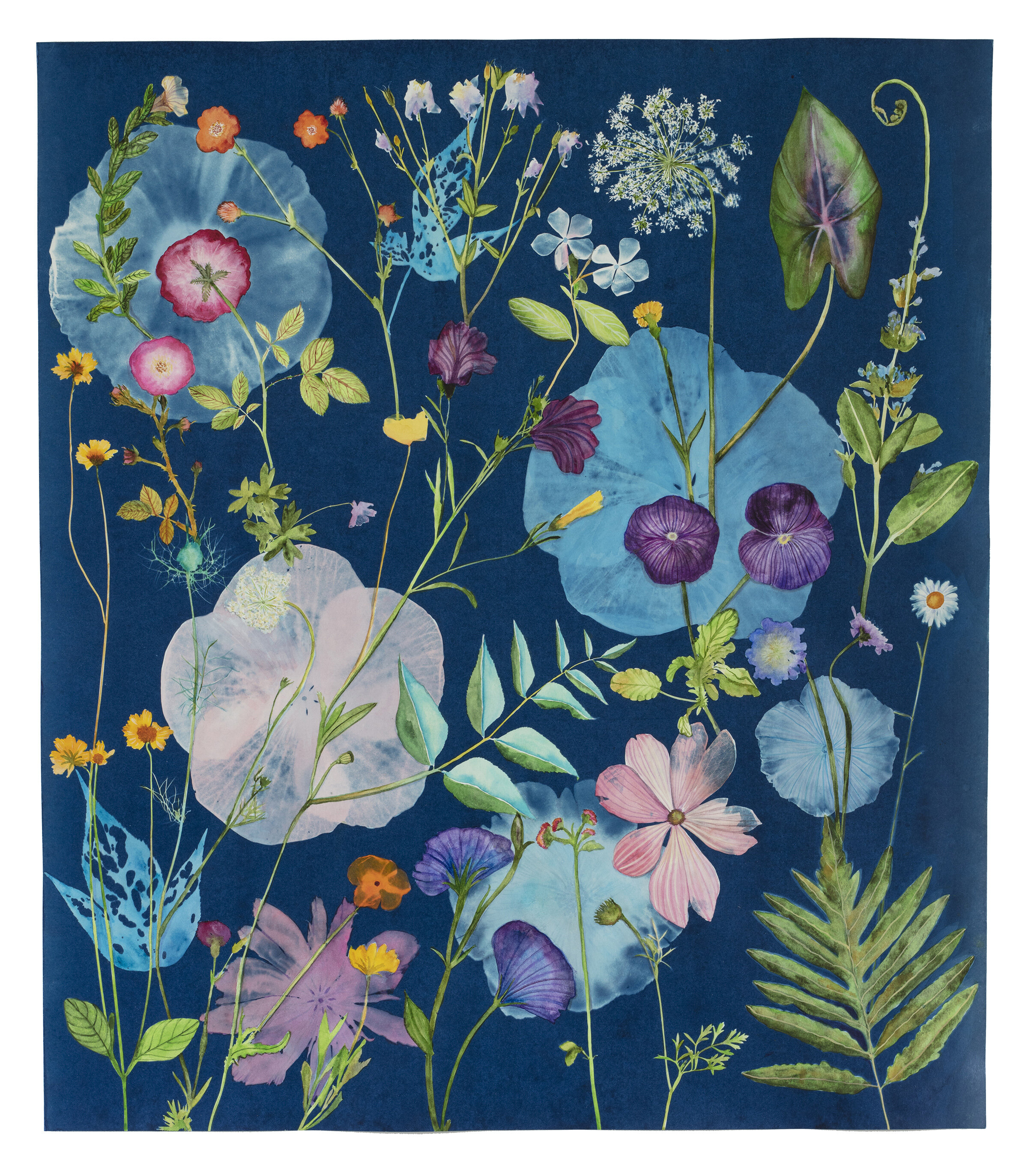 Cyanotype Painting (Hibiscus, Pansies, Roses, Ferns, Queen Anne's Lace, etc)