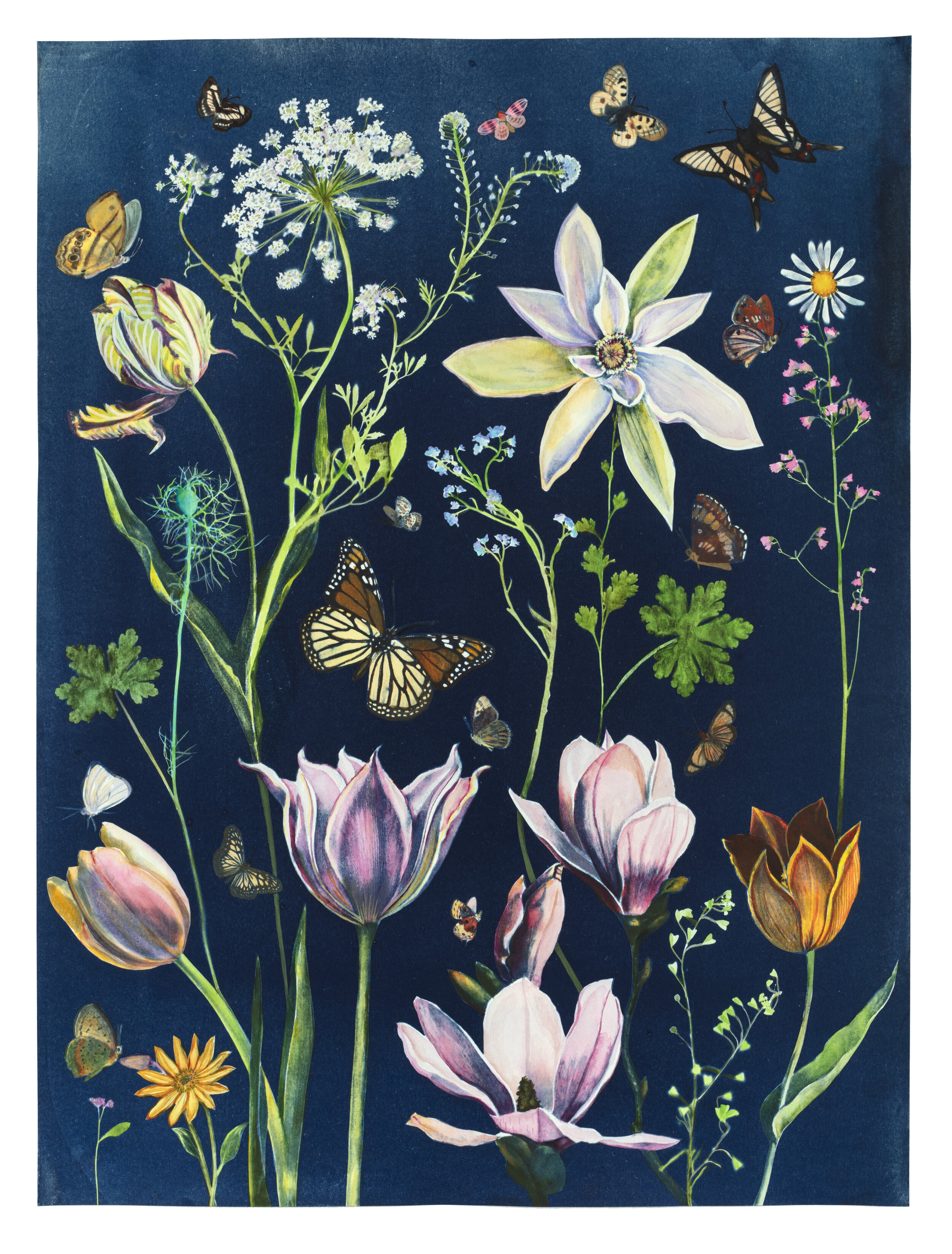 Cyanotype Painting (Tulips, Magnolia, Queen Anne's Lace, Pollinators, etc)