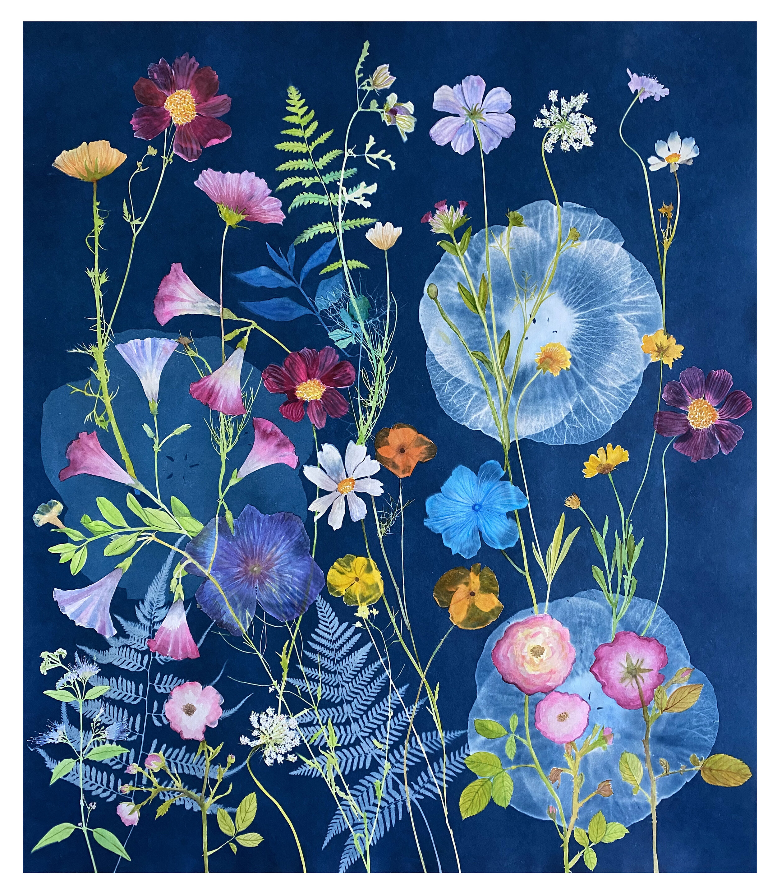 Cyanotype Painting (Hibiscus, Roses, Poppies, Morning Glories, Cosmos, etc)