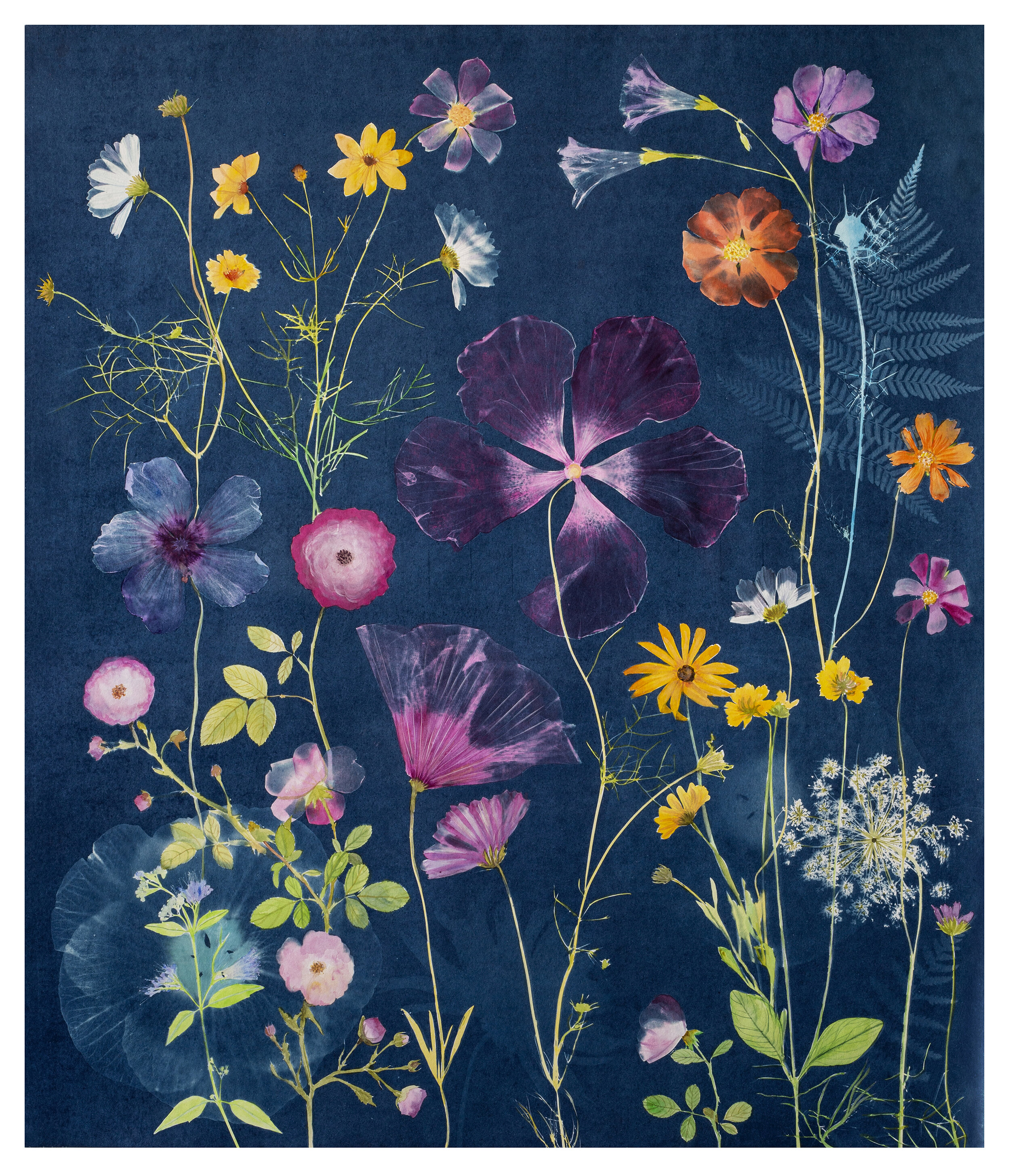 Cyanotype Painting (Hibiscus, Roses, Poppies, Morning Glories, Black Eyed Susans, etc)