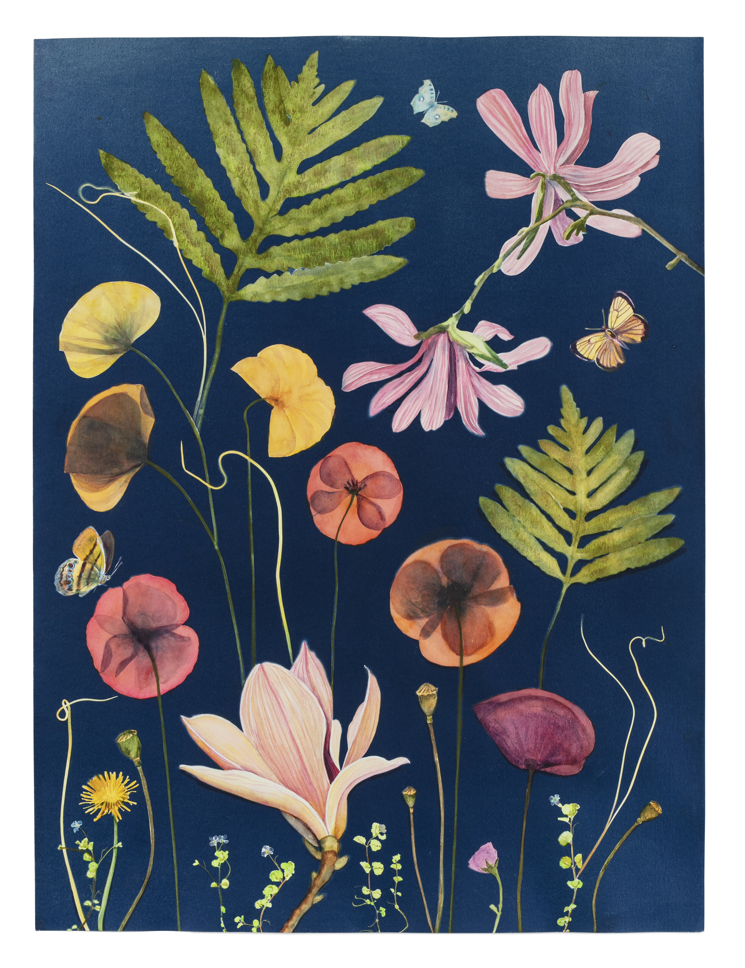 Cyanotype Painting (Poppies, Magnolias, Ferns, Pollinators, etc)