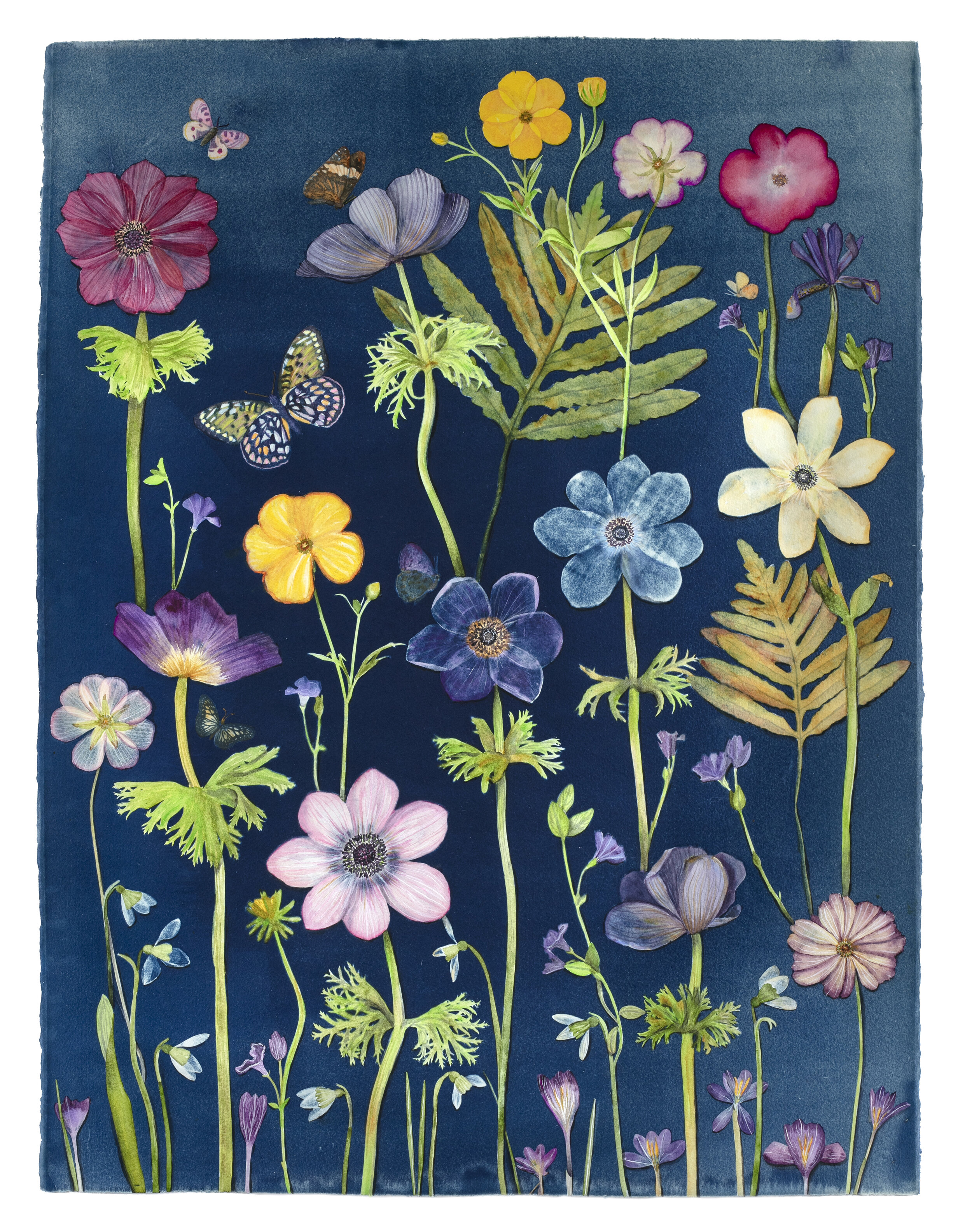 Cyanotype Painting (Anemones, Ferns, Snowdrops, Pollinators, etc)