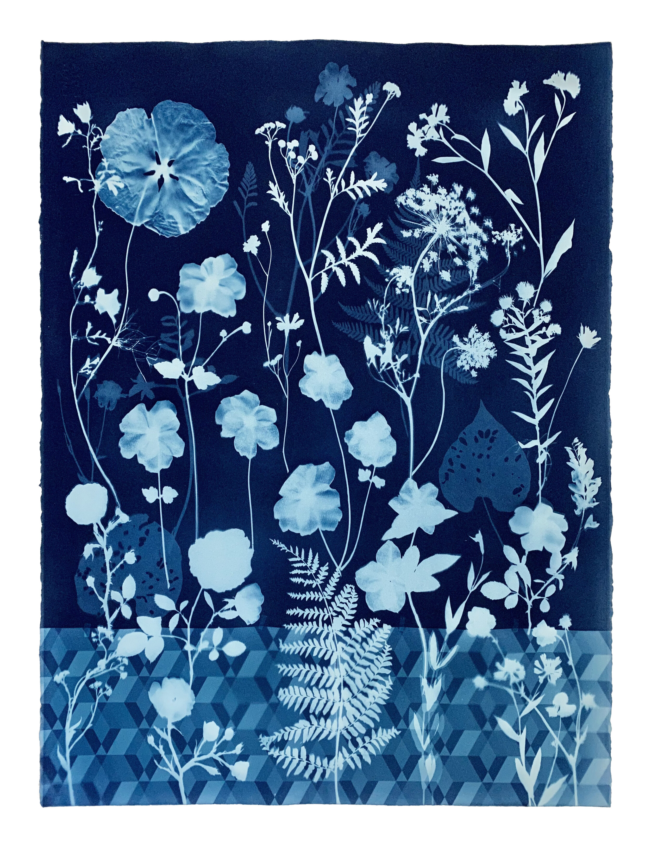 Cyanotype Painting (Anemones, Rose of Sharon, Queen Anne's Lace, Floor Pattern)
