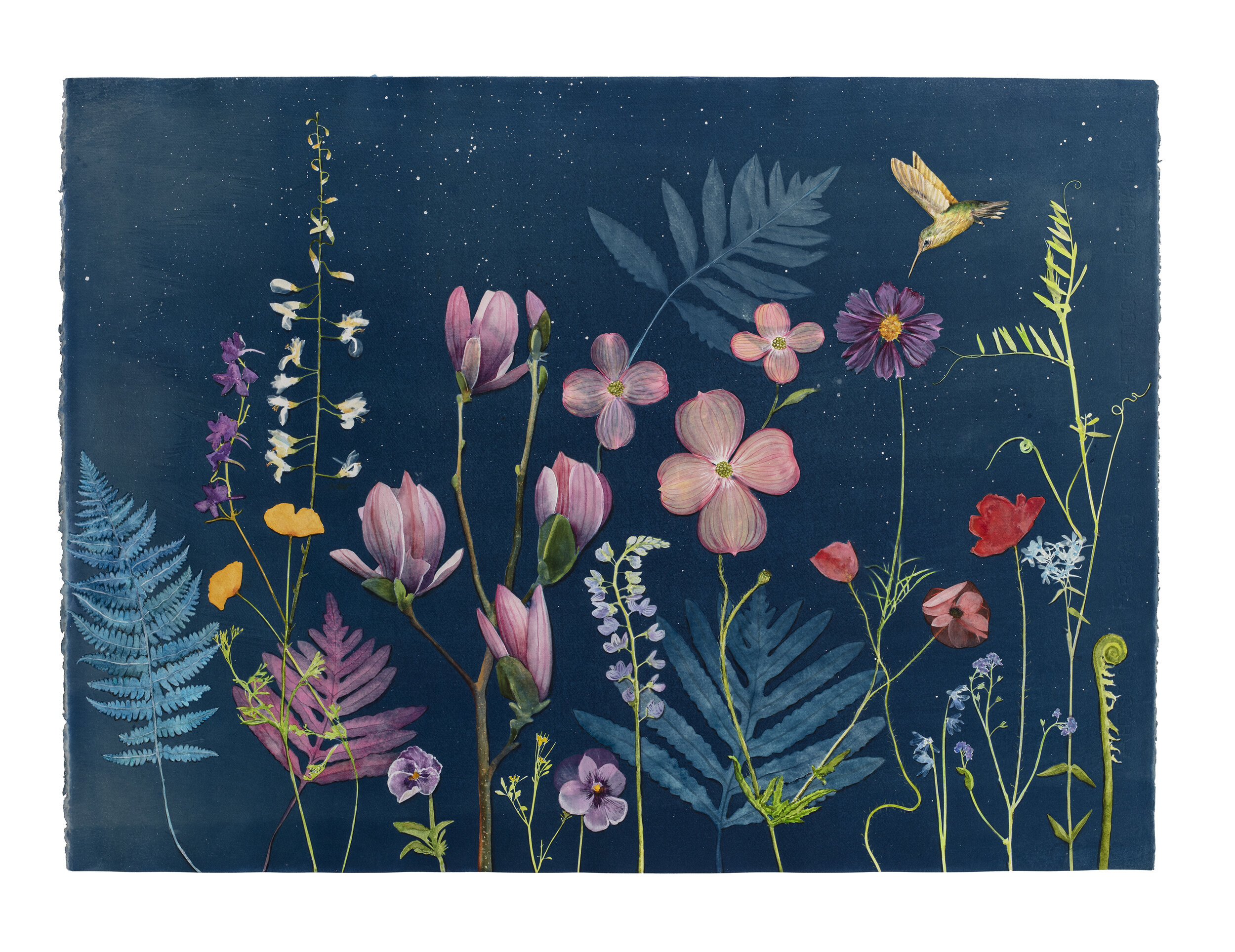 Cyanotype Painting (Magnolia, Dogwood, Ferns, Hummingbird, etc)