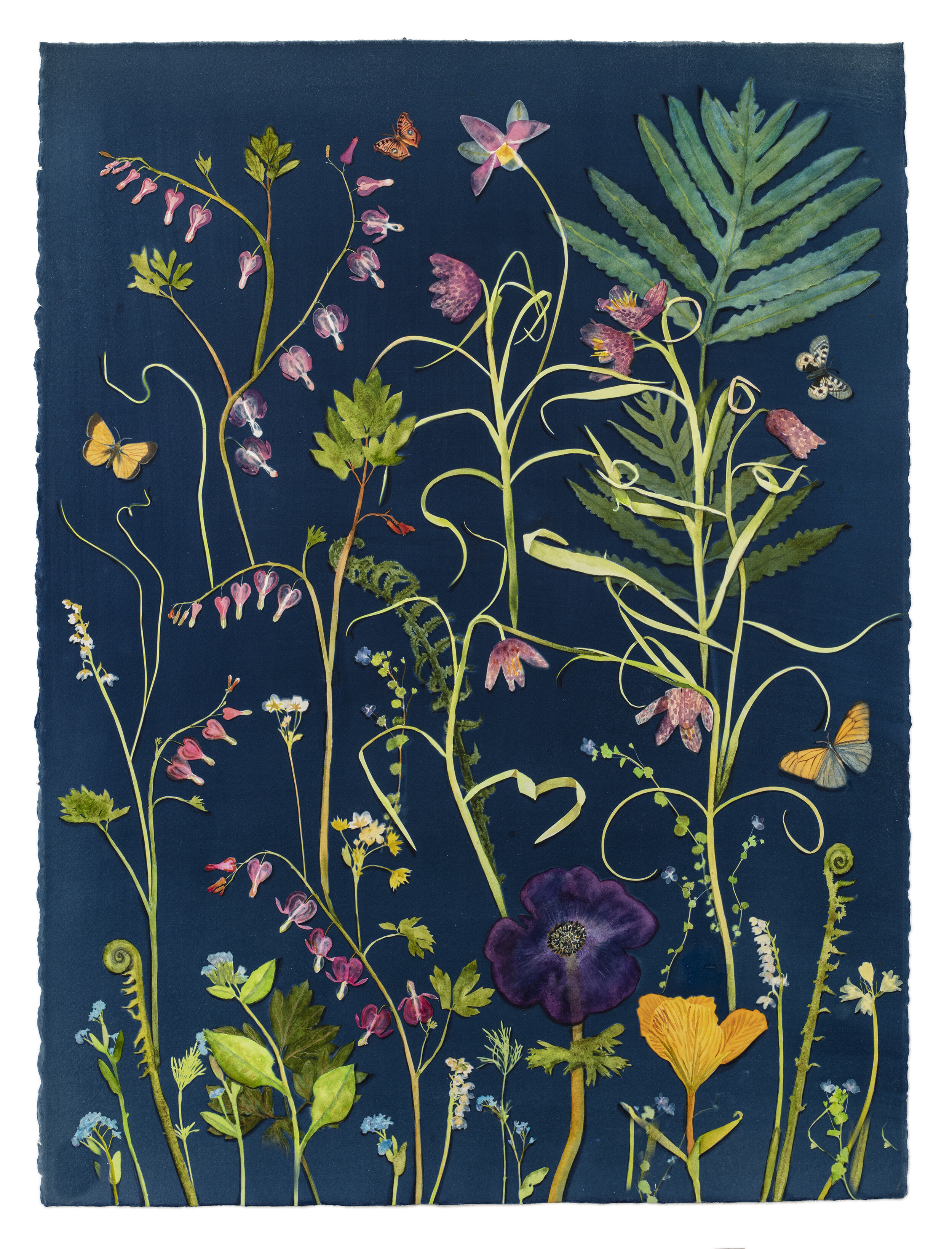 Cyanotype Painting (Bleeding Hearts, Fritillarias, Ferns, etc)