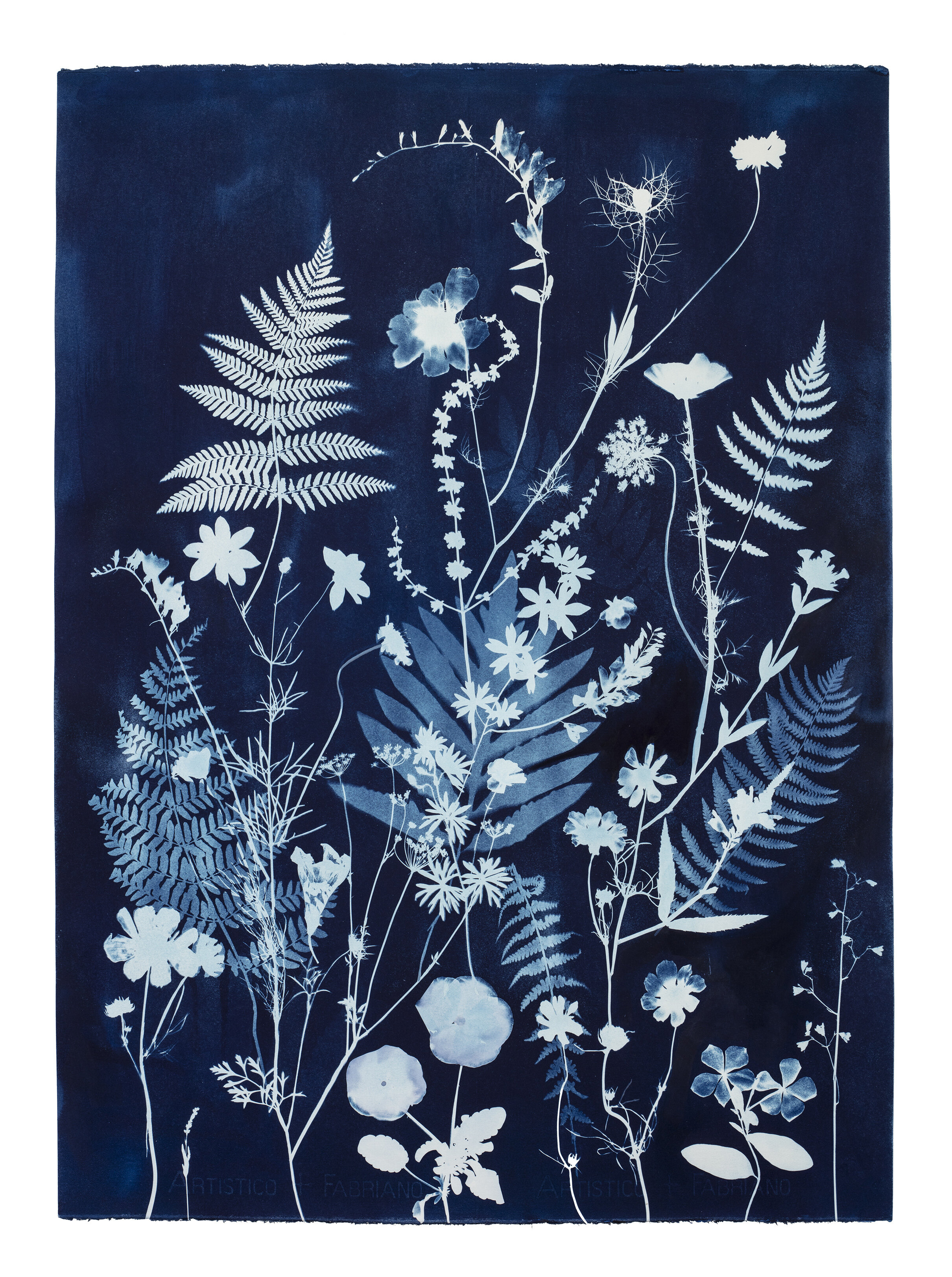 Cyanotype Painting (Ferns, Roses, Cosmos, Lavender, etc)