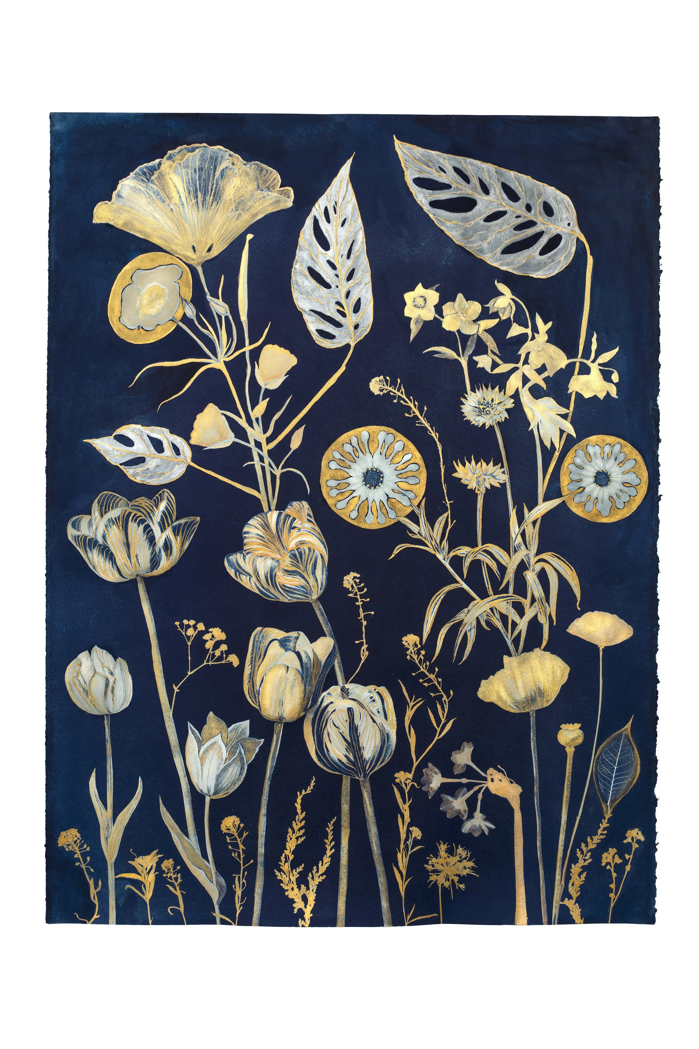 Cyanotype Painting (Gold Tulips, Leaves, etc) 17" x 13" or 11" x 8.5" Print