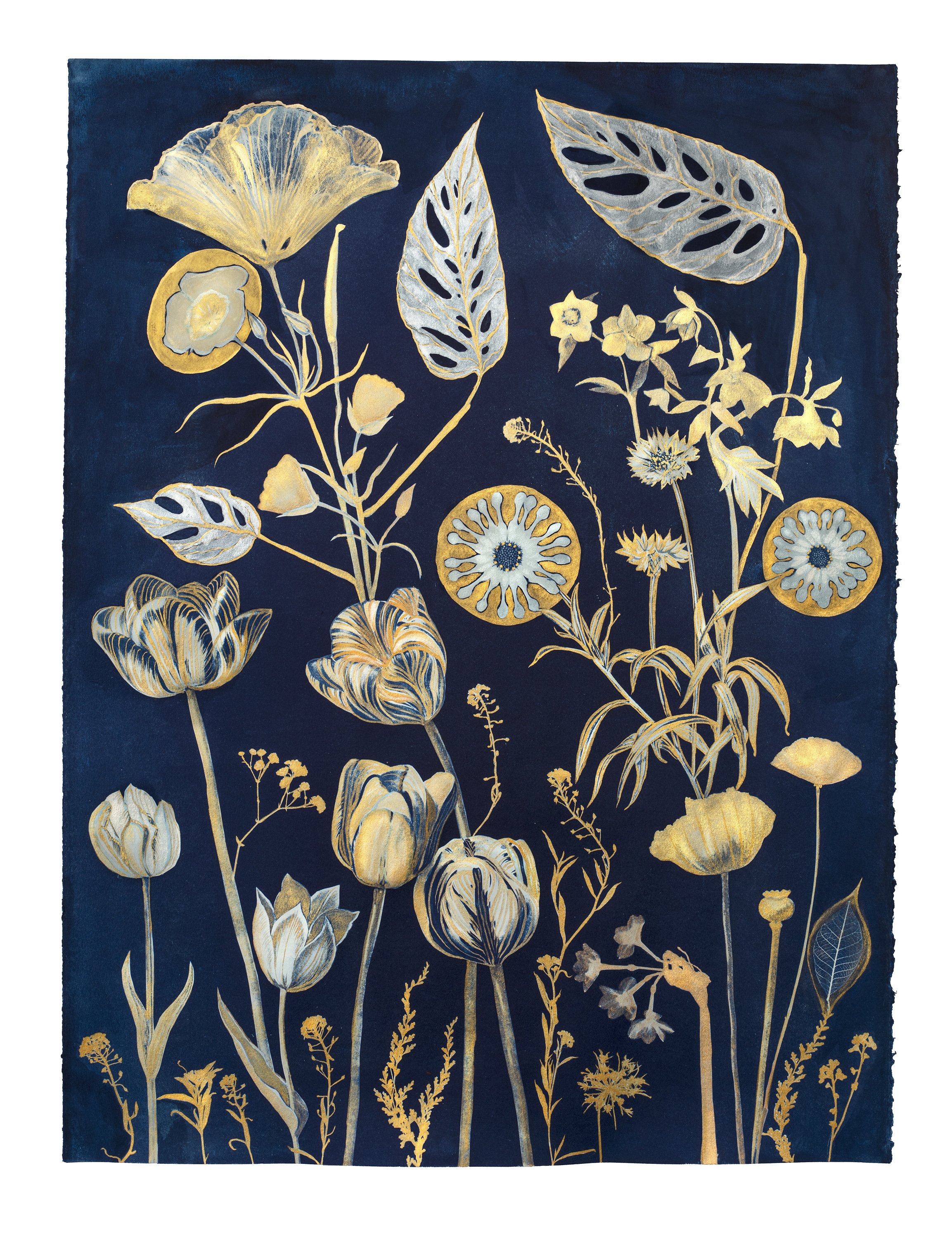 Cyanotype Painting (Gold Tulips, Leaves, etc)