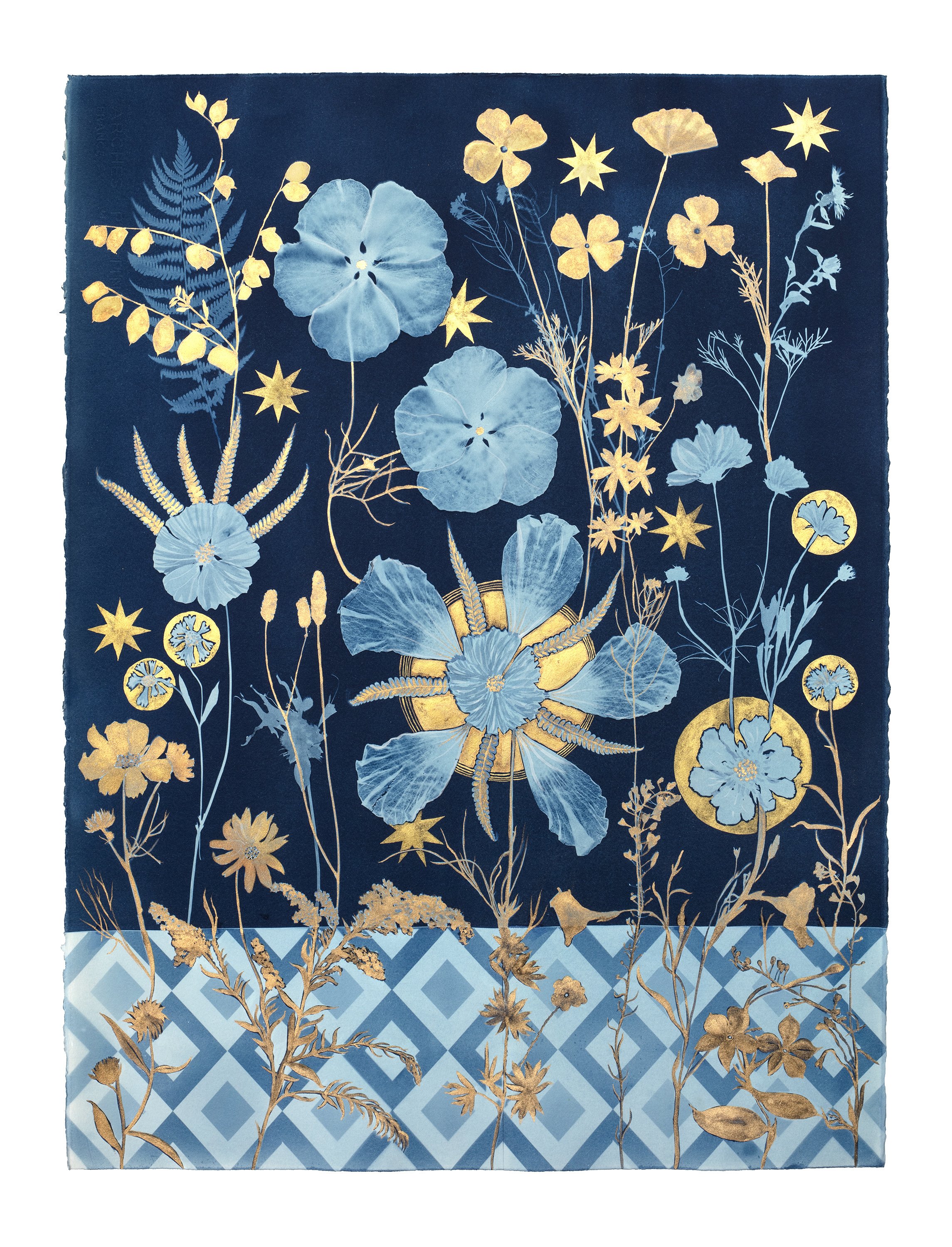 Cyanotype Painting (Gold Cosmos, Rose of Sharon, Stars, Floor Pattern)