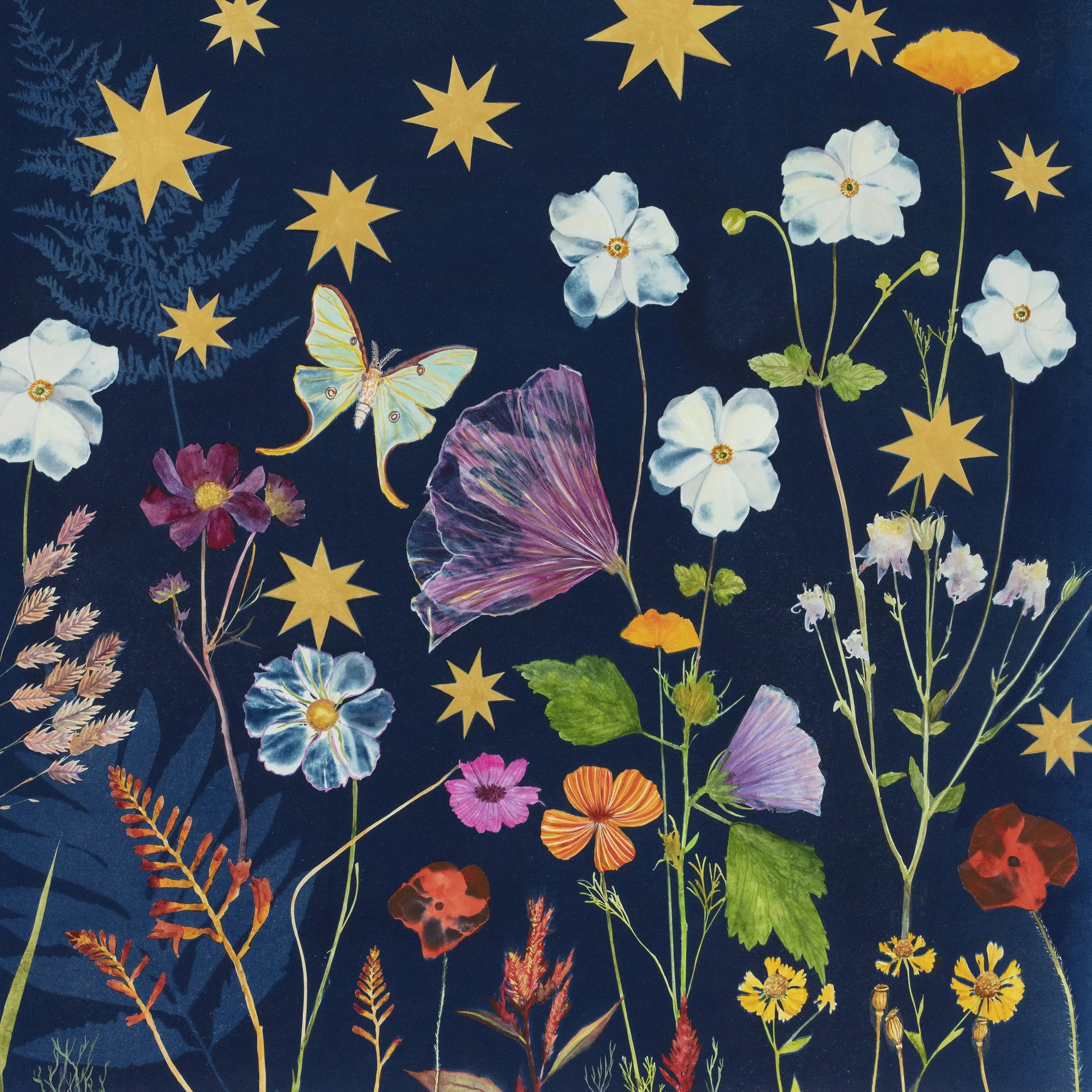 JWB_CyanotypePainting_23x23_Anemone_Stars_LunaMoth-detail.jpg
