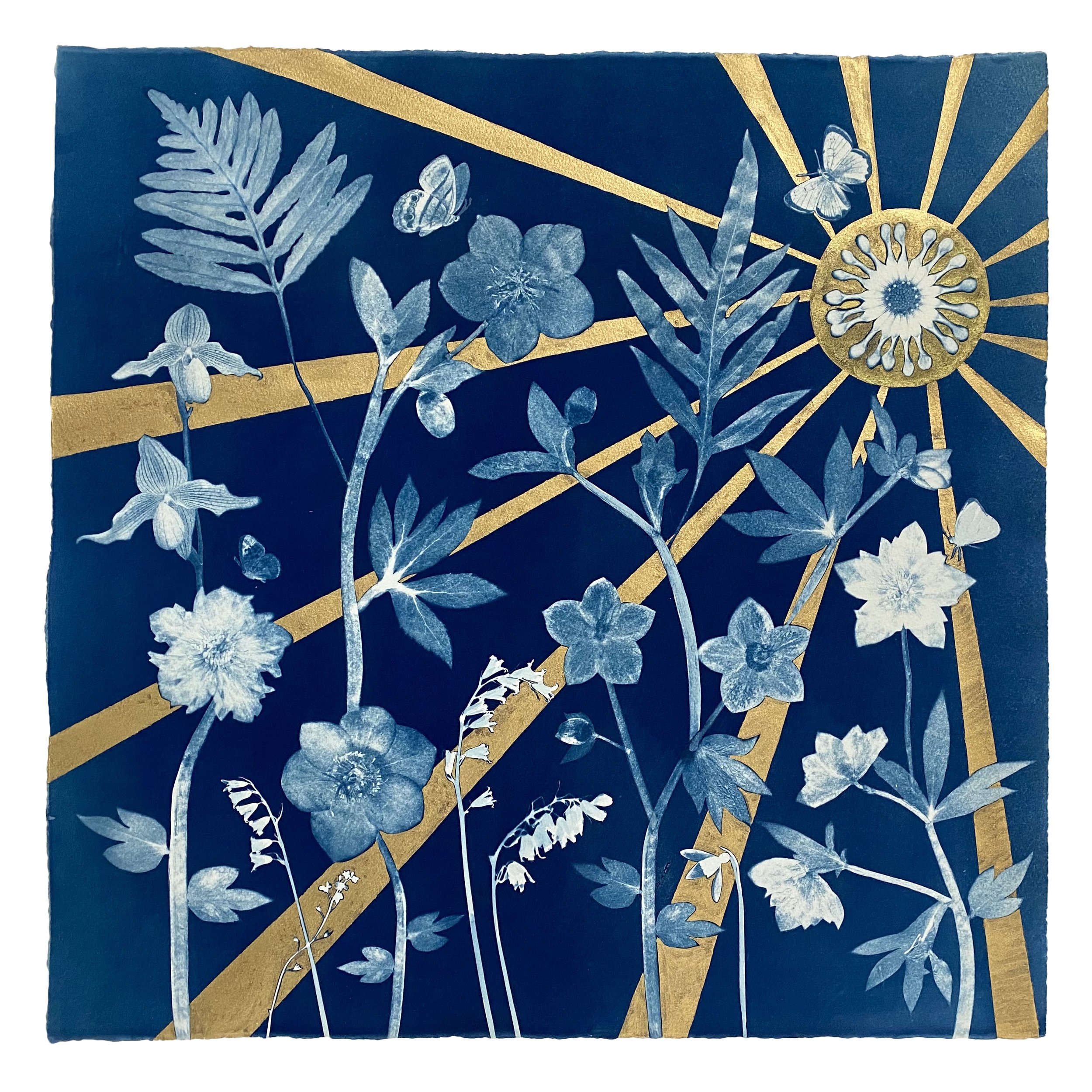 Cyanotype Painting (Hellebore, Ferns, Pollinators, Sun) 