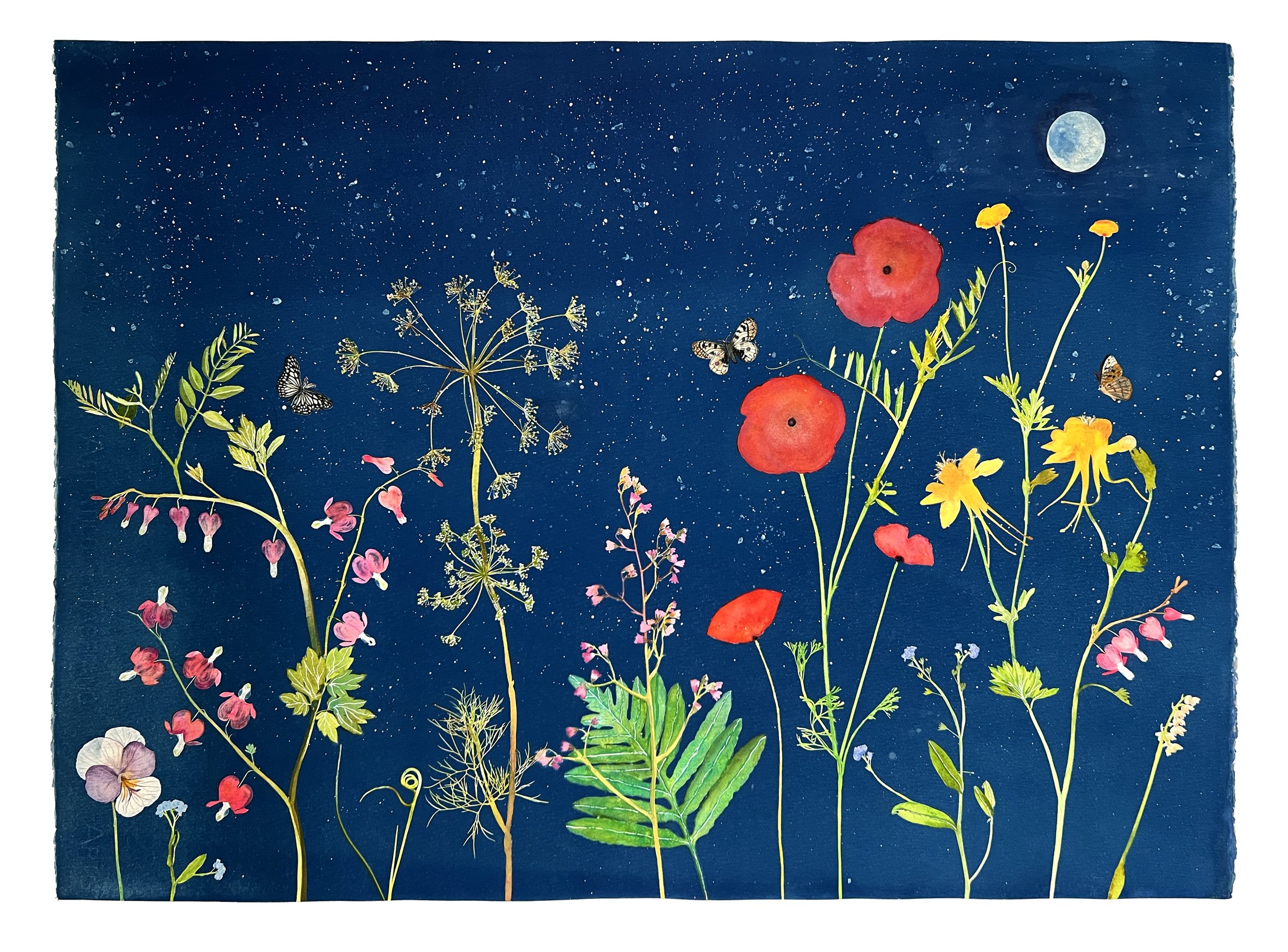 Nocturnal Nature (Poppies, Bleeding Hearts, Violet, Pollinators, Moon