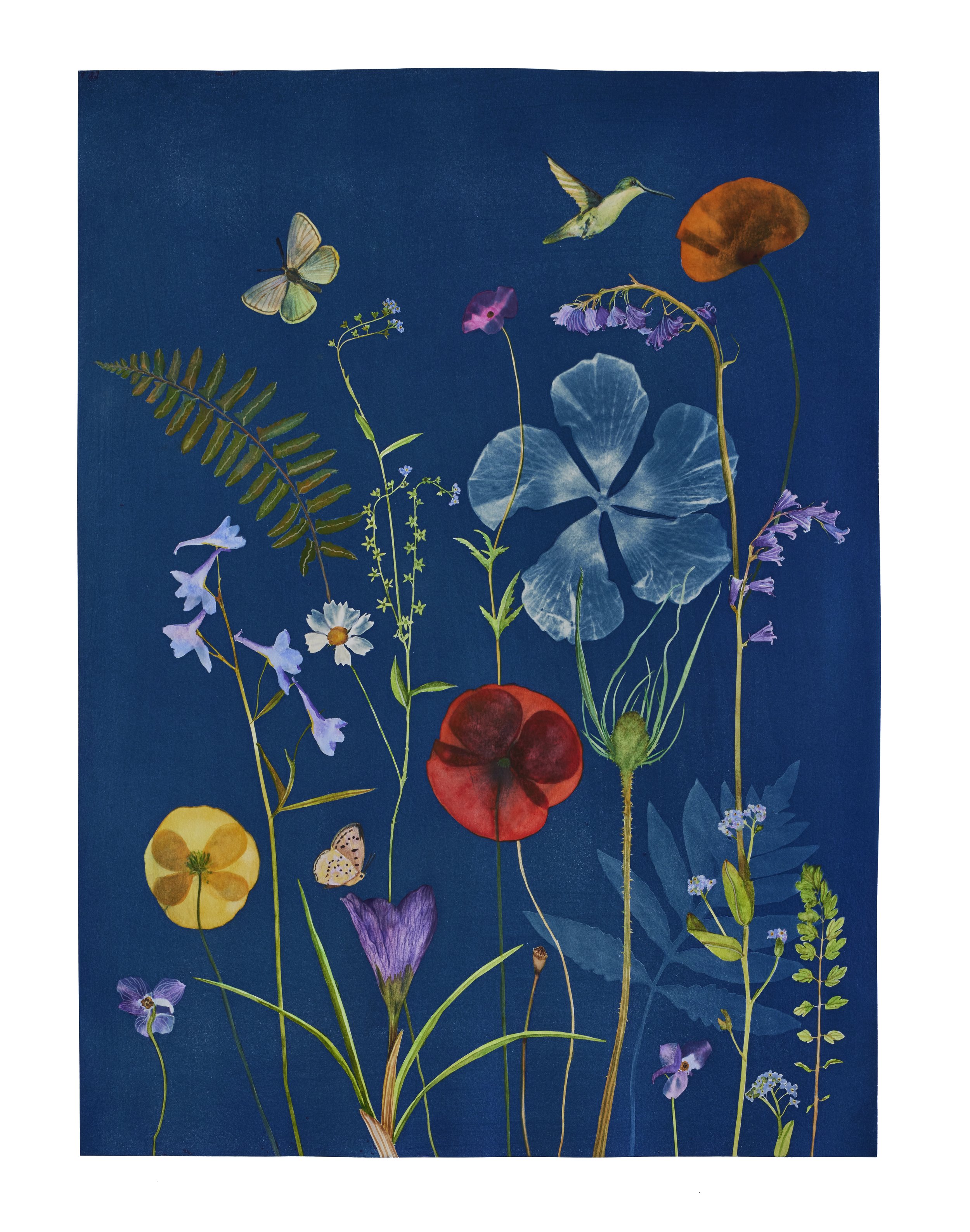 Cyanotype Painting (Poppies, Hibiscus, Hummingbird, Ferns, etc)