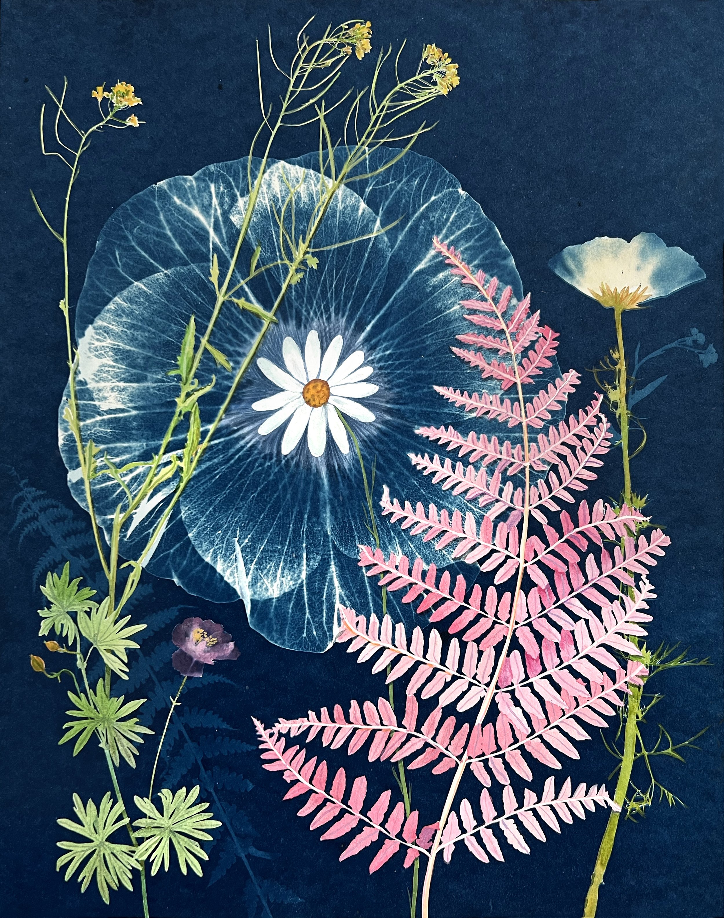 2022, 14" x 11" watercolor, gouache and cyanotype on watercolor paper