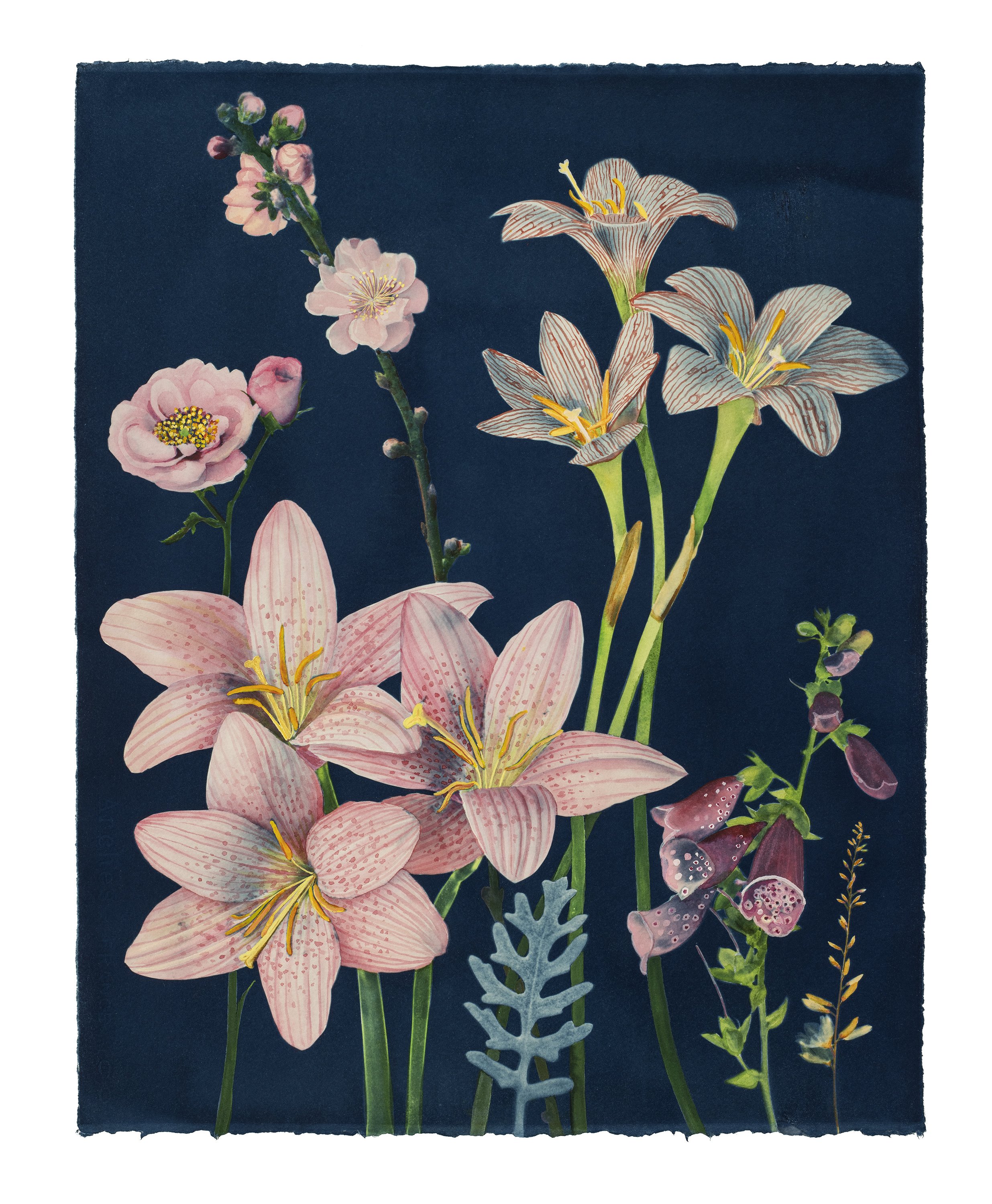 Picturesque Botany (Lily, Rose, Cherry Blossom, Foxglove, Dusty Miller, etc)