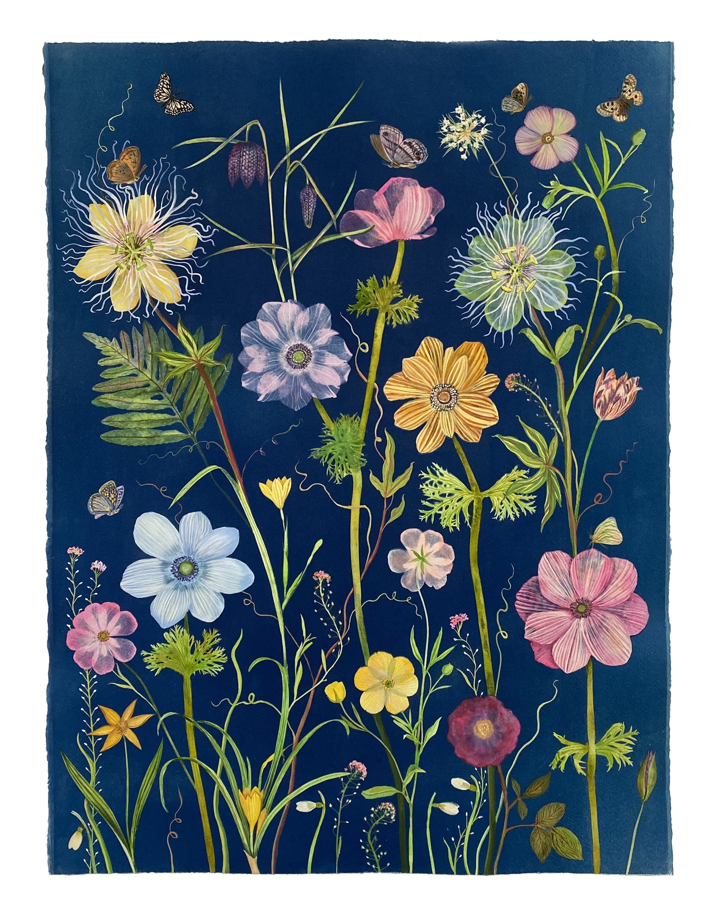 Nocturnal Nature (Anemone, Passionflower, Buttercup, etc)