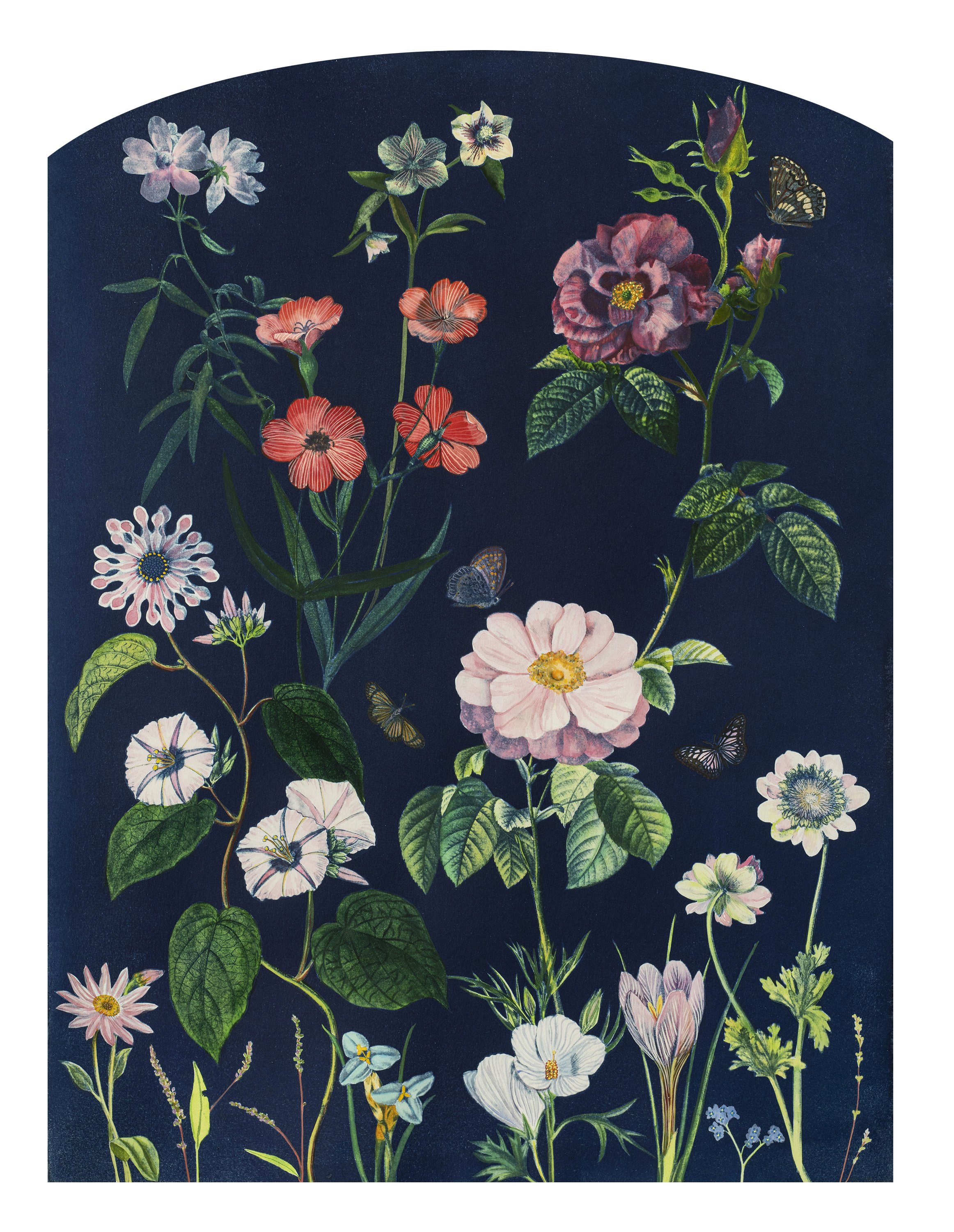 JuliaWhitneyBarnes_Picturesque Botany (Rose, Morning Glory, Hellebore, Crocus, Pollinators, etc).jpg