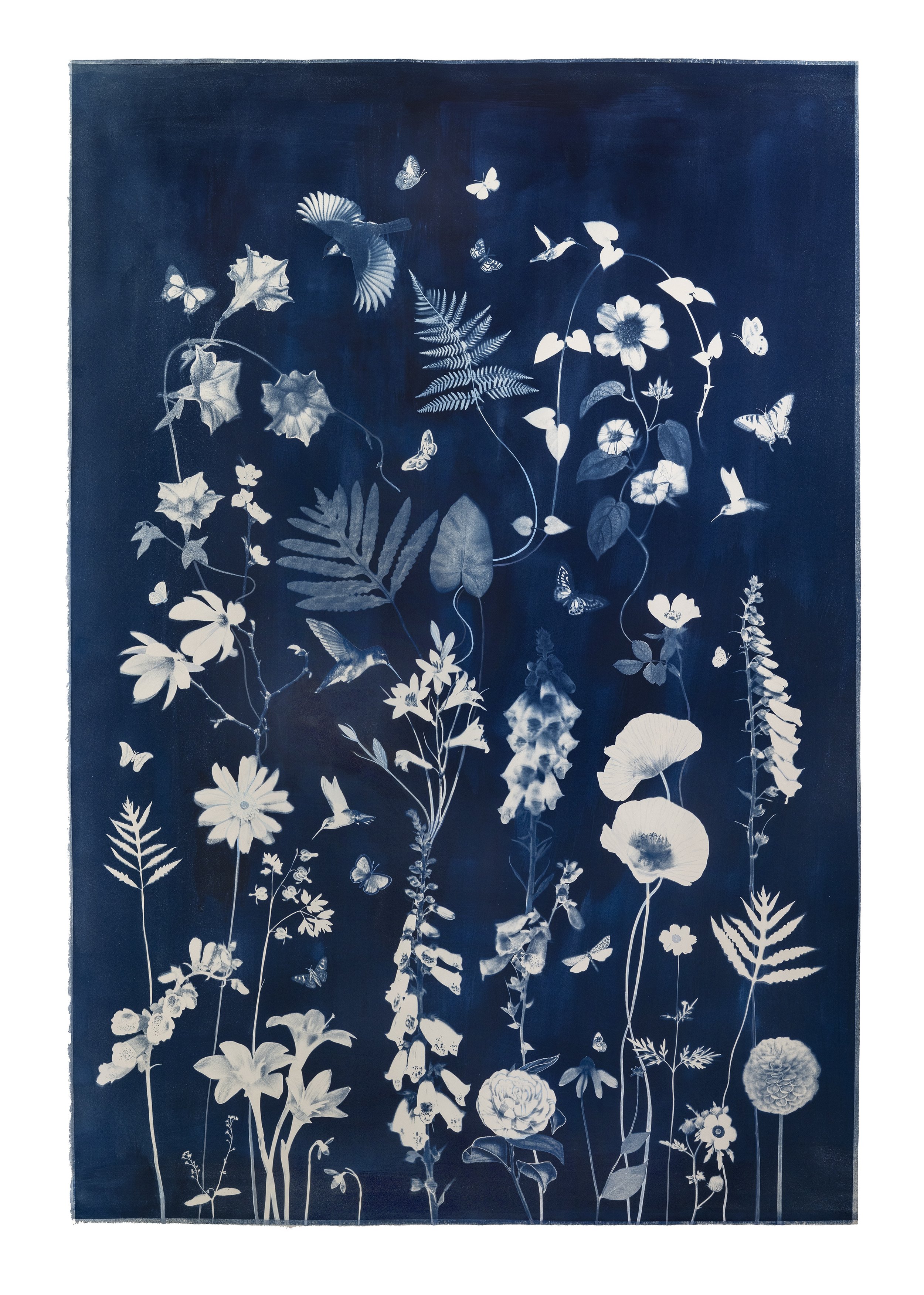 Picturesque Botany (Foxglove, Morning Glory, Poppies, Birds, Pollinators)
