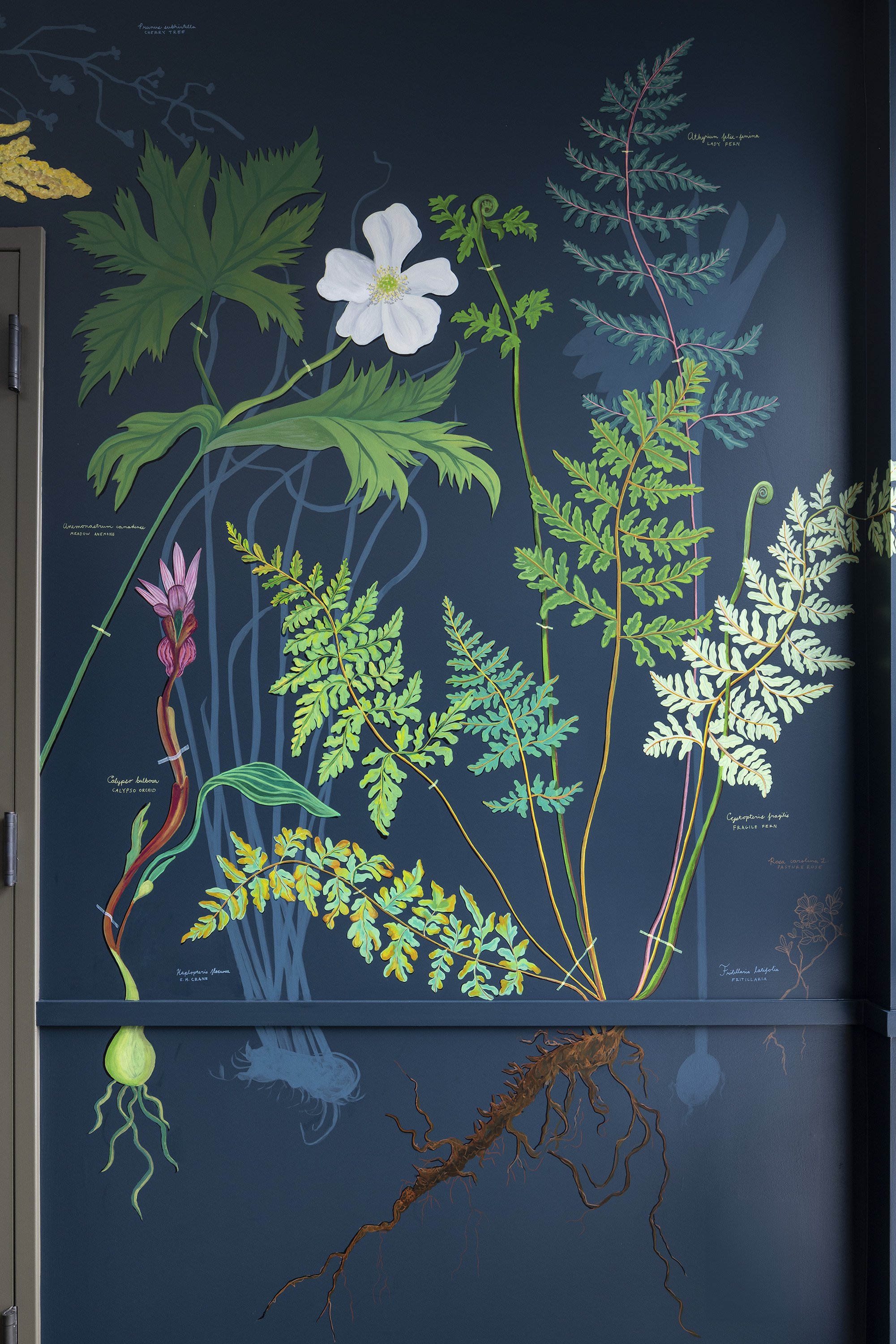 The Botanist's Mural