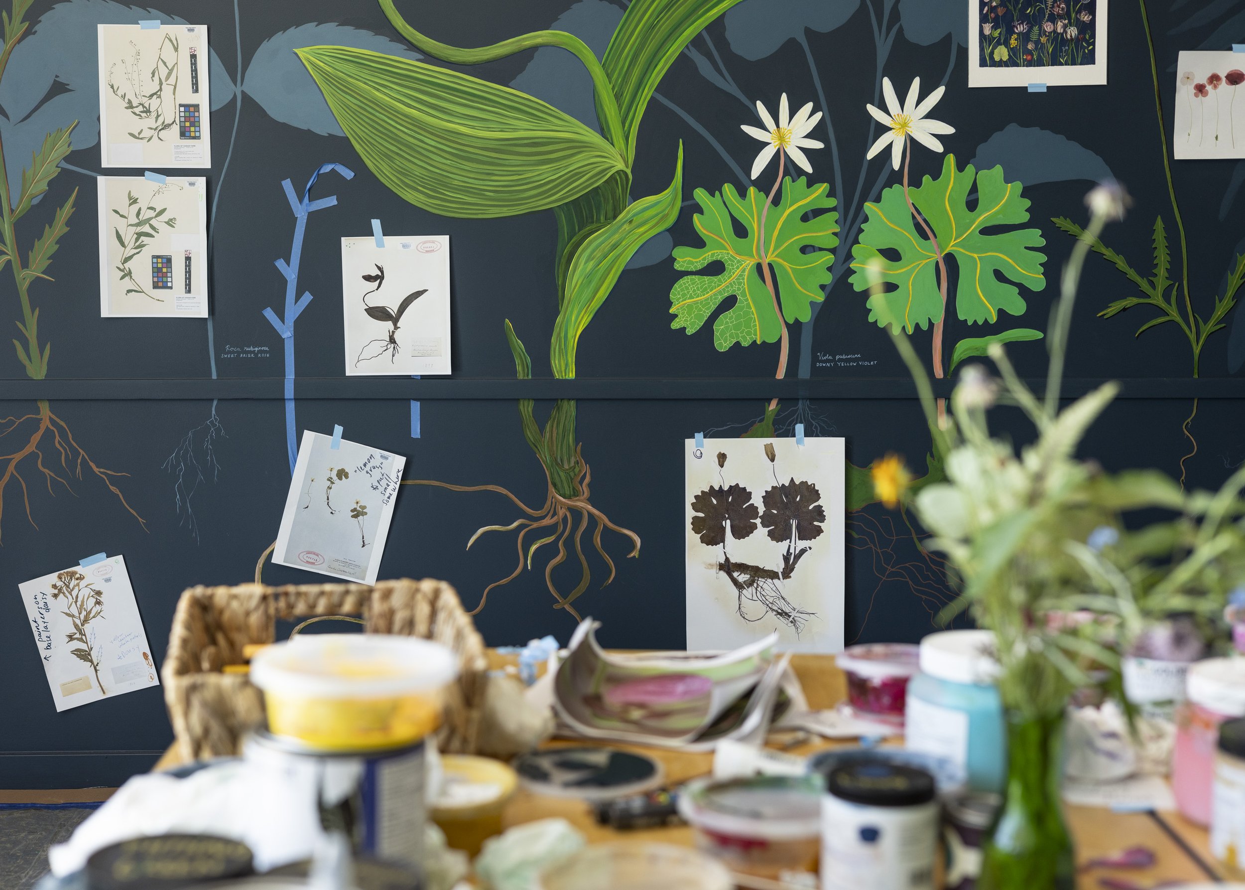 The Botanist's Mural (in process)