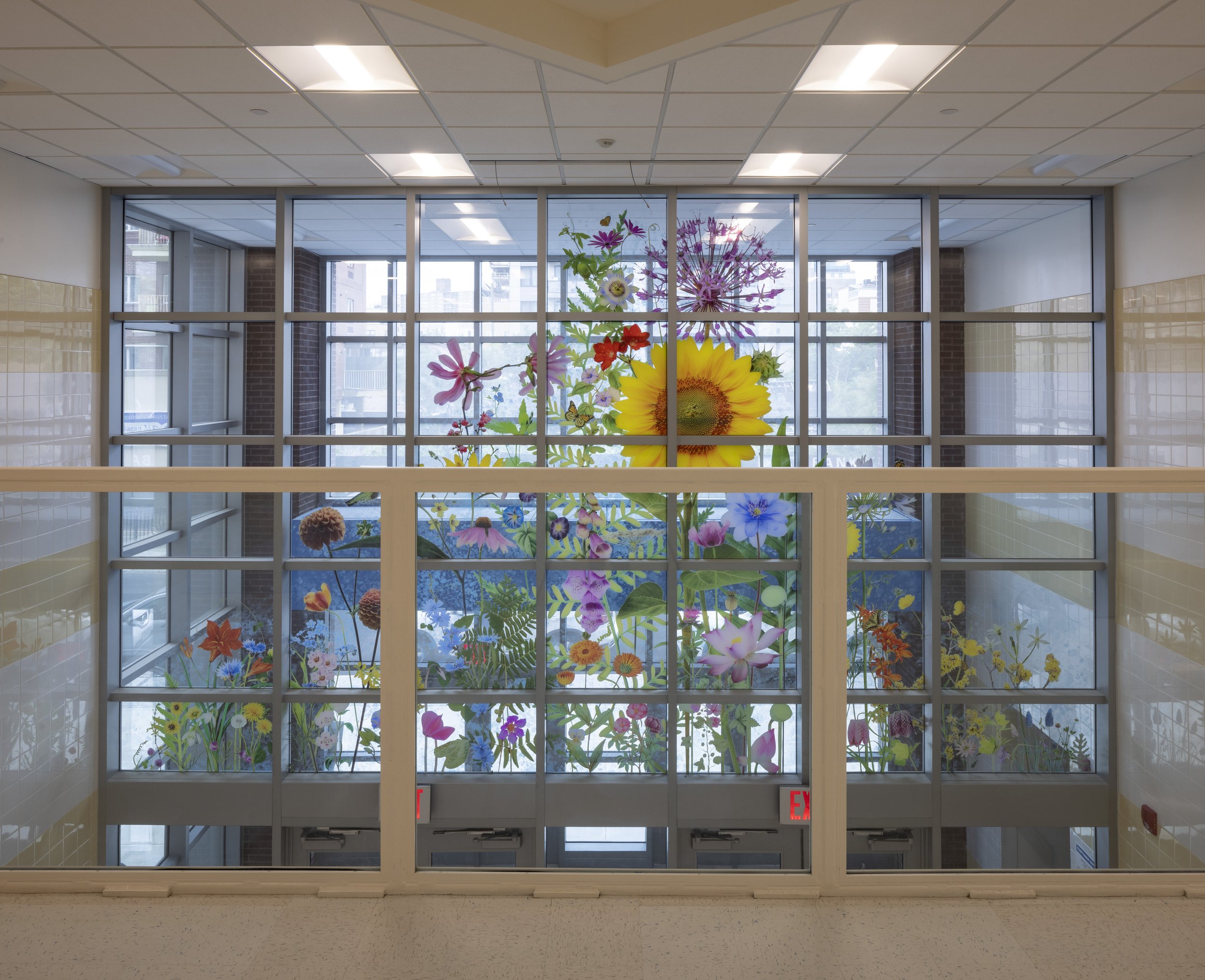 Brighton Botanical (view from 2nd floor walkway)