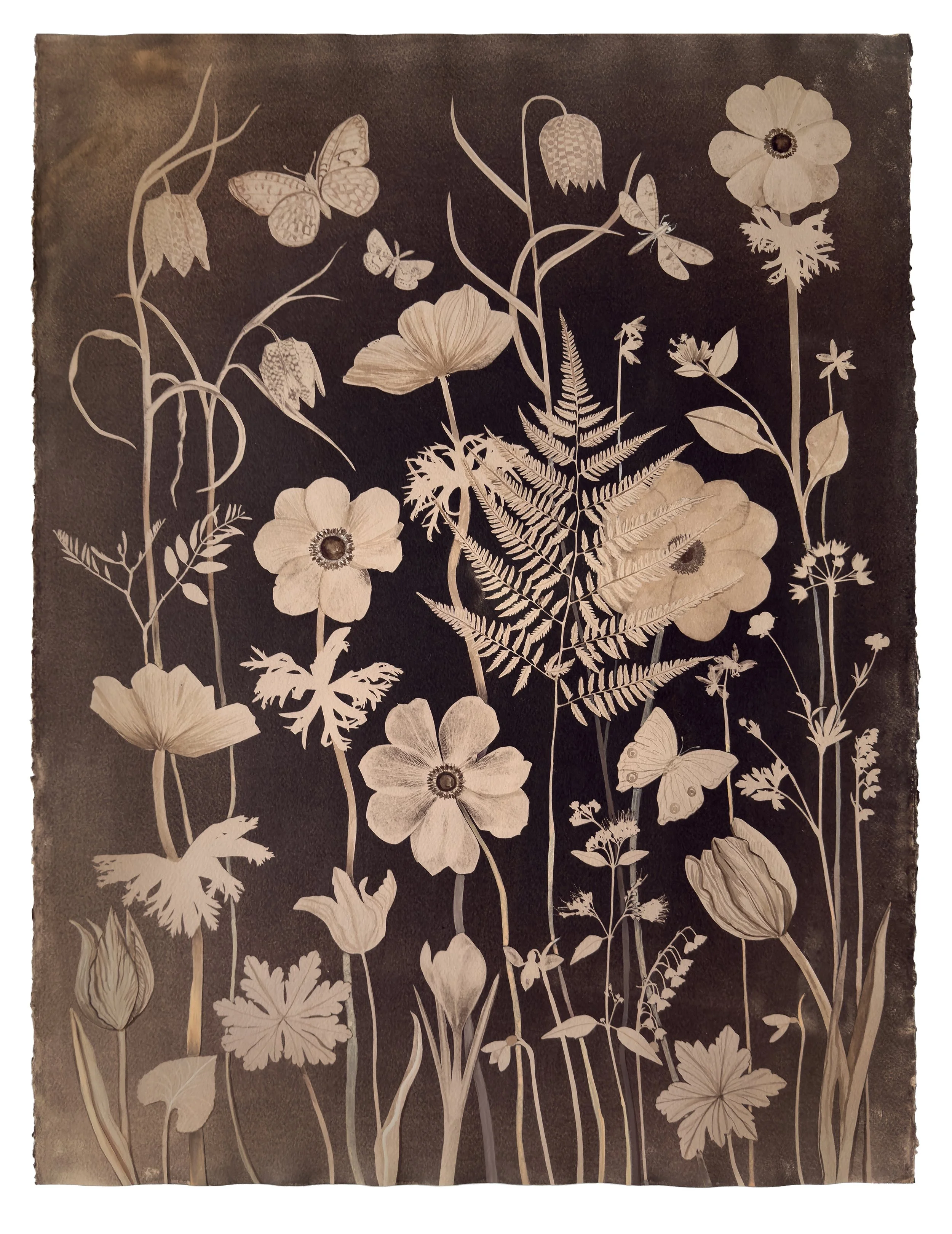 Nocturnal Nature (Tea Toned Anemone, FernTulip, Fritillaria, Pollinators, etc)