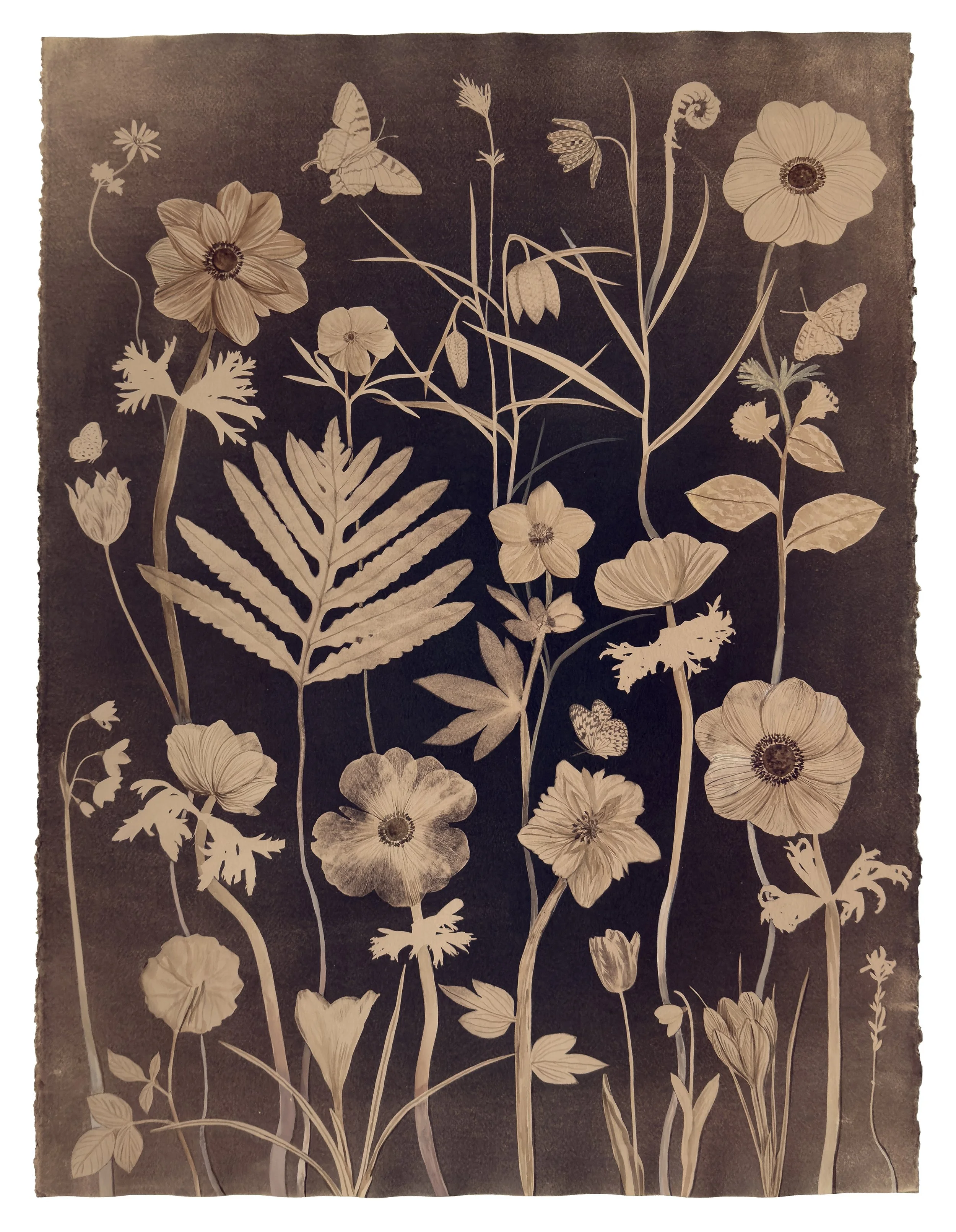 Nocturnal Nature (Tea Toned Anemone, Fern, Crocus, Tulips, Fritillaria, Pollinators, etc)