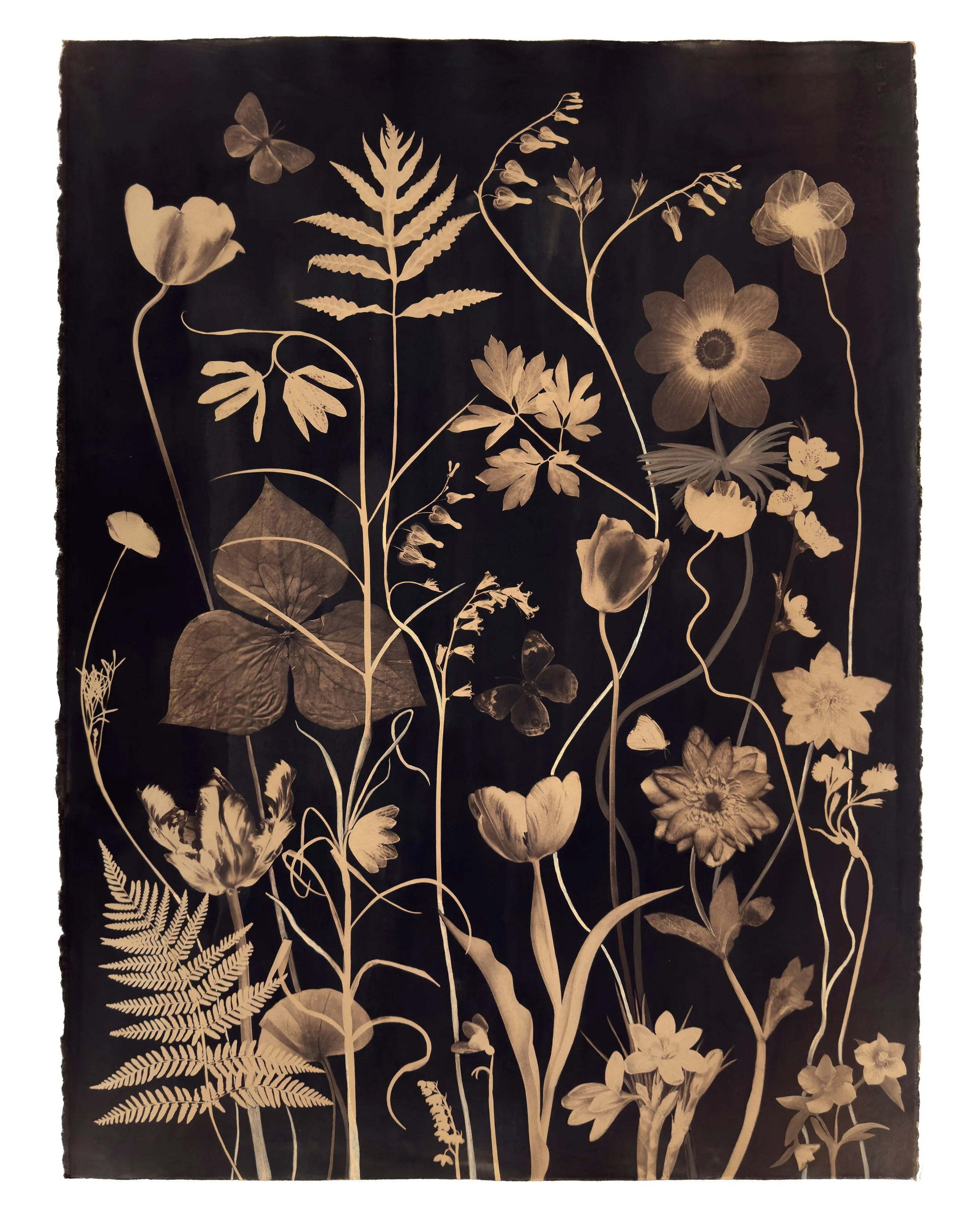 Nocturnal Nature (Tea Toned Bleeding Heart, Hellebore, Crocus, Fern, Tulip, Fritillaria, Pollinators, etc)
