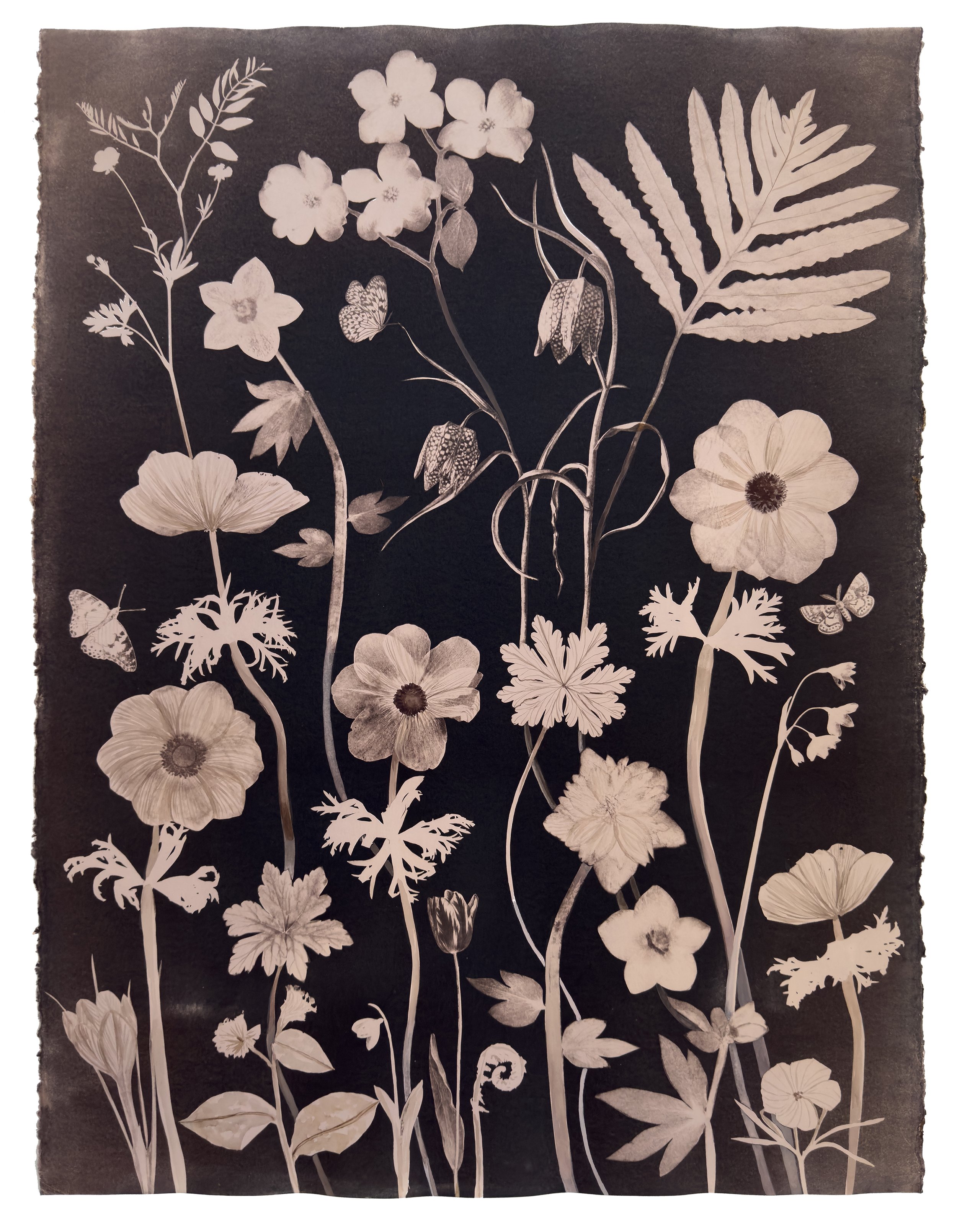 Nocturnal Nature (Green Tea Toned Hellebore, Fritillaria, Pollinators, etc)