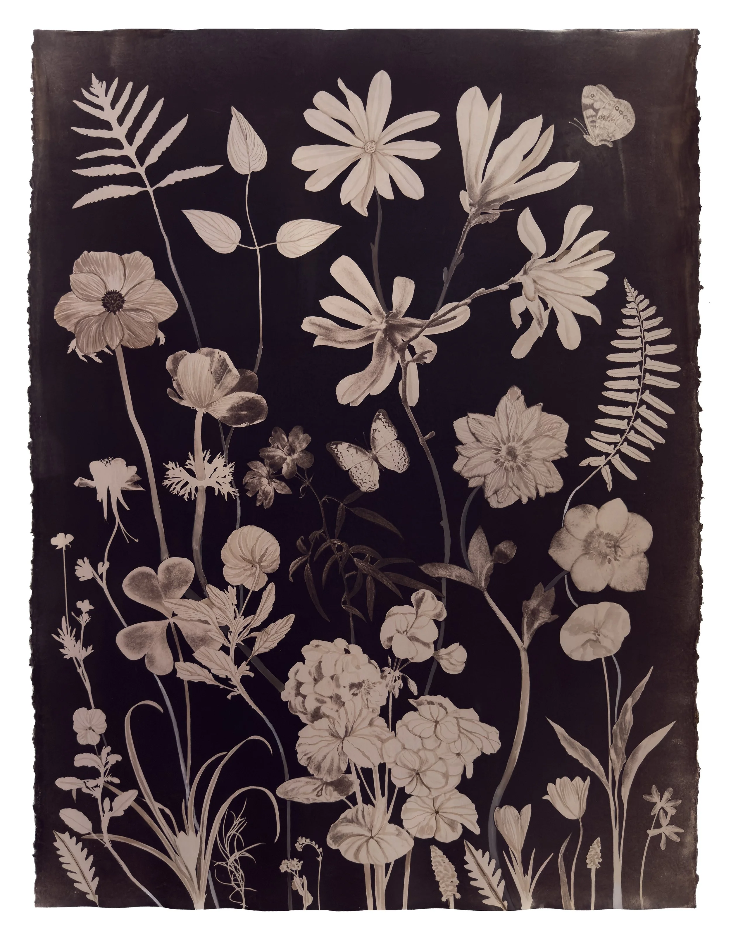 Nocturnal Nature (Green Tea Toned Magnolia, Hellebore, Geranium, Pollinators, etc)