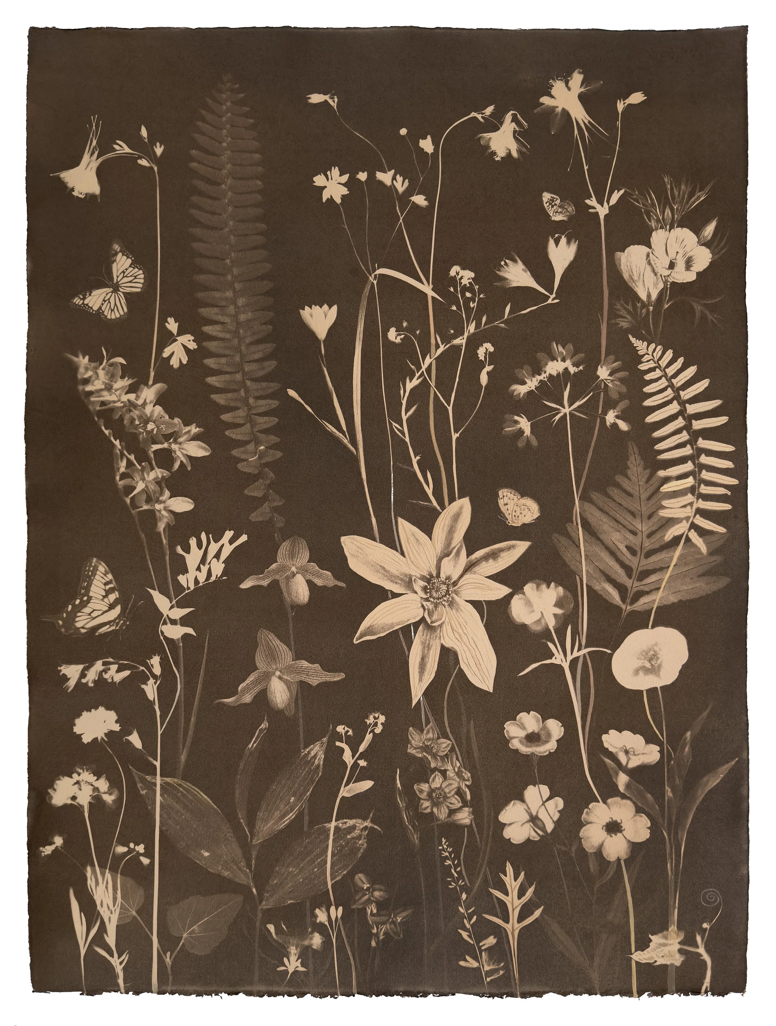Nocturnal Nature (Tea Toned, Orchids, Magnolia, Ferns, Leaves, etc)