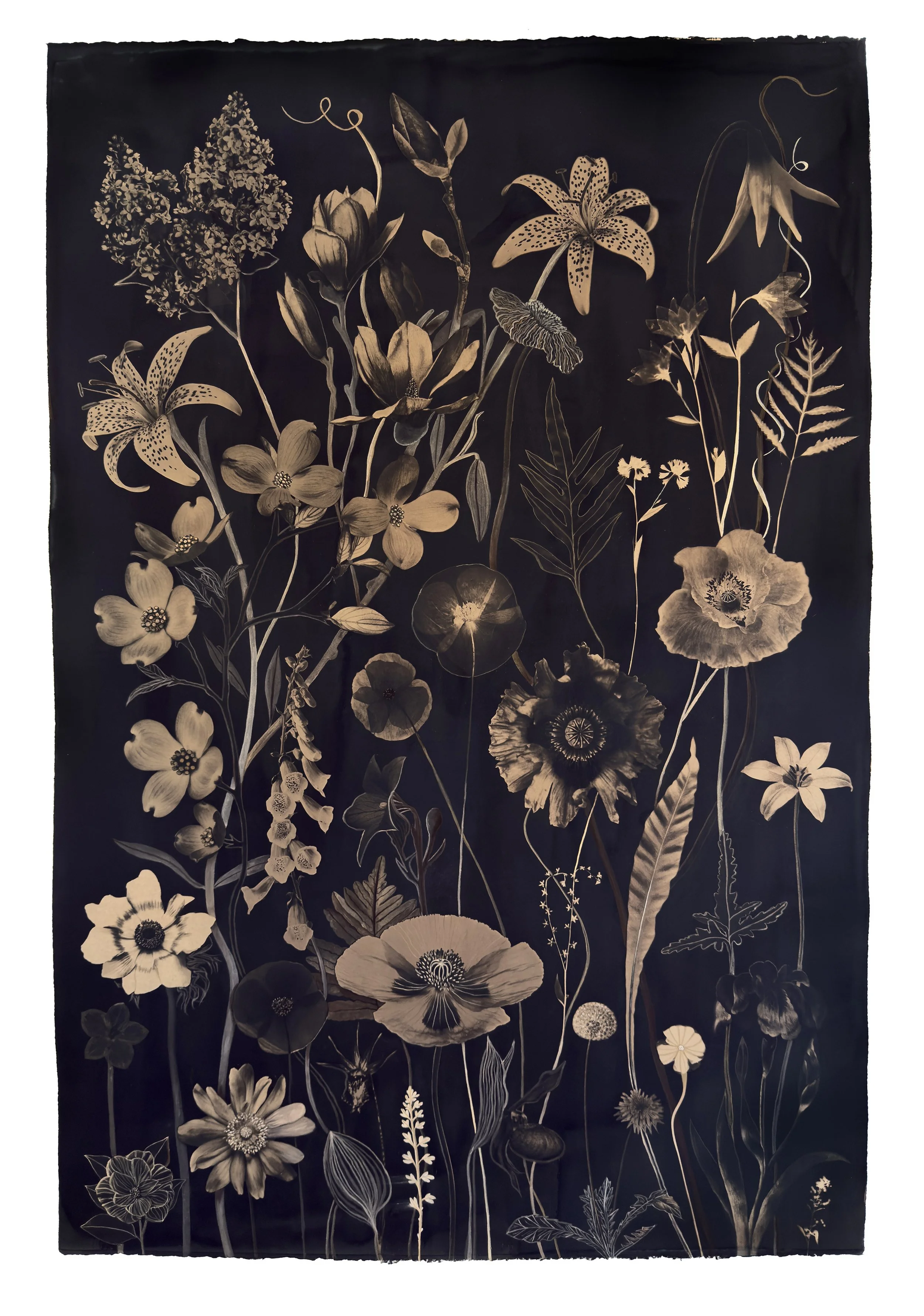 Floating Herbarium (Tea Toned Poppies, Dogwood, Lily, Magnolia, Lilac, etc)