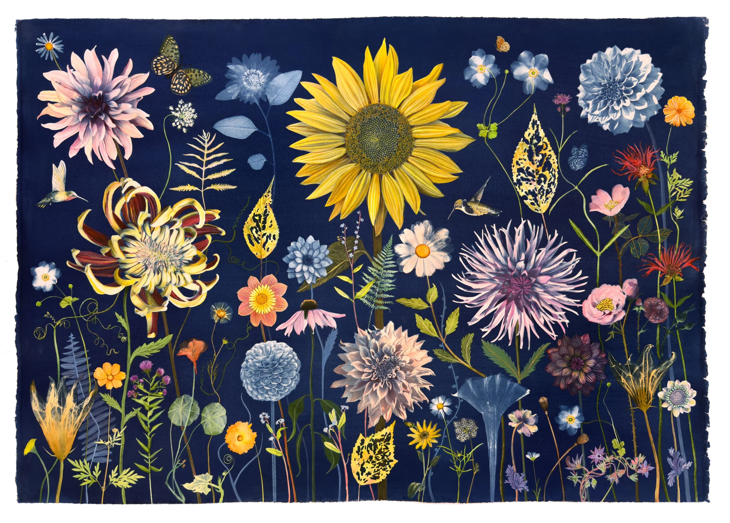 Picturesque Botany (Chrysanthemum, Dahlia, Sunflower, Anemone, Bee Balm, Cosmos, etc)