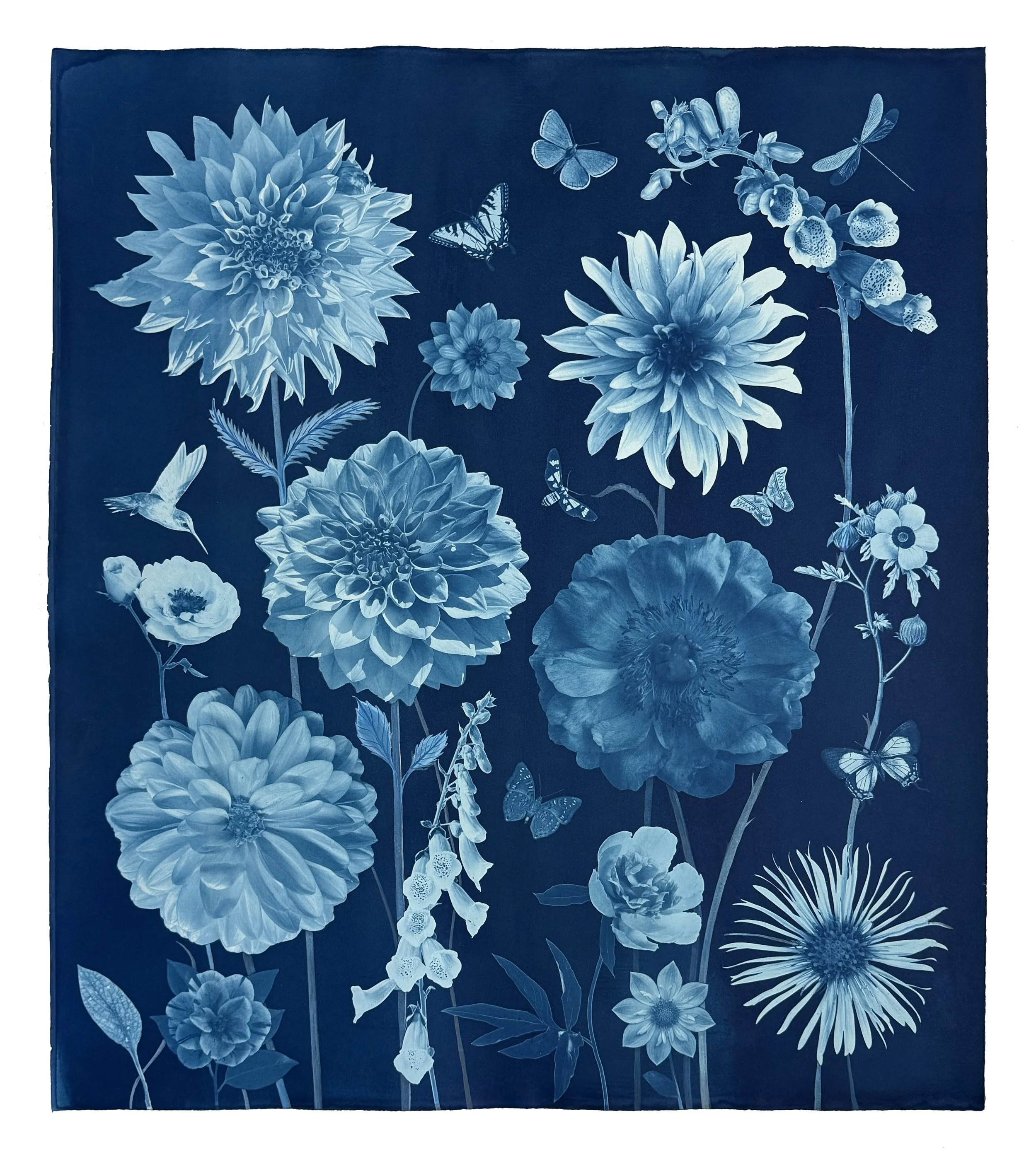 Floating Herbarium (Dahlia, Foxglove, Camelia, etc.), 2026, 30" x 23" Watercolor, Gouache, India ink and Cyanotype on Arches Platine Paper    private collection  