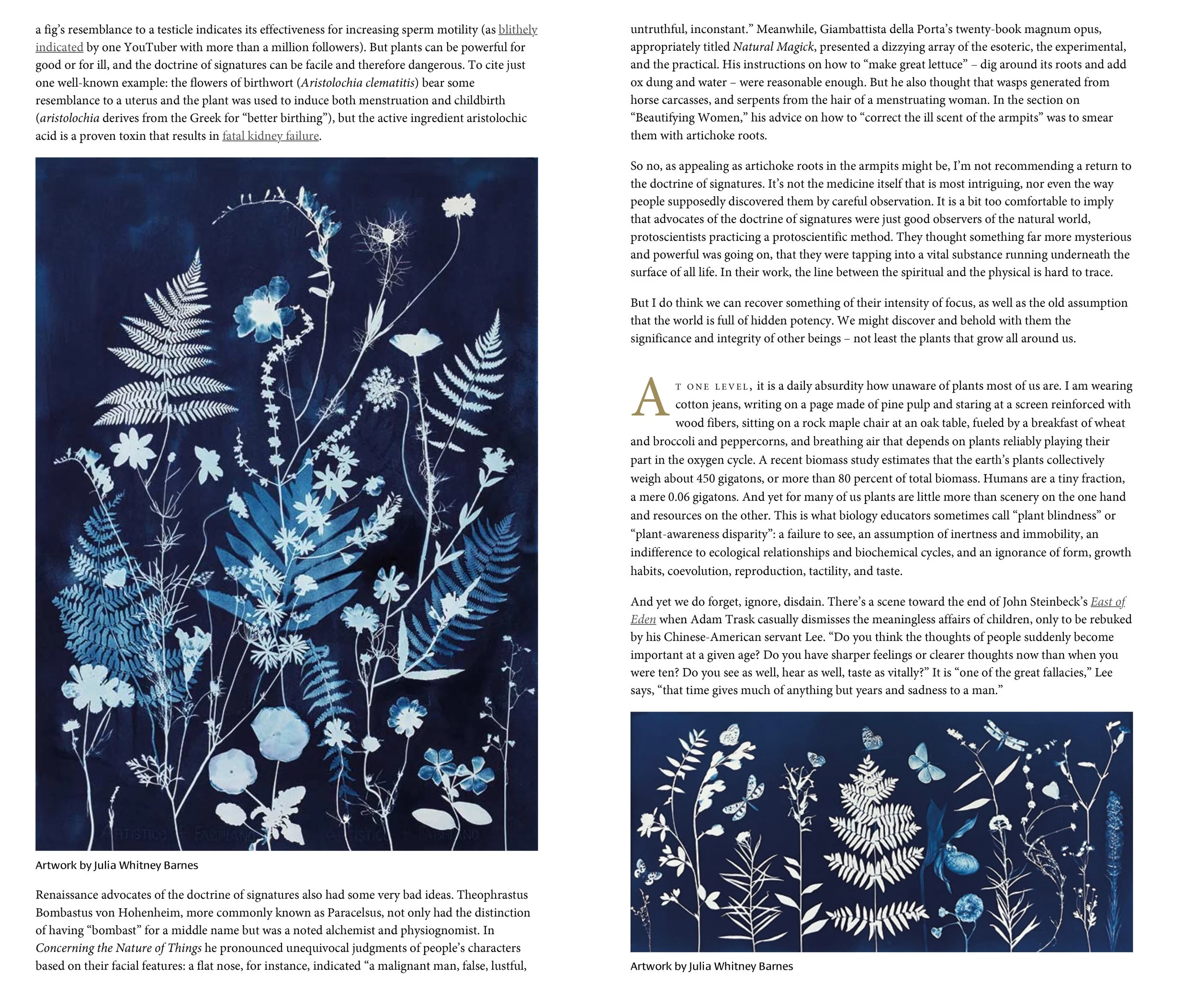 Plough Quarterly, Spring 2024