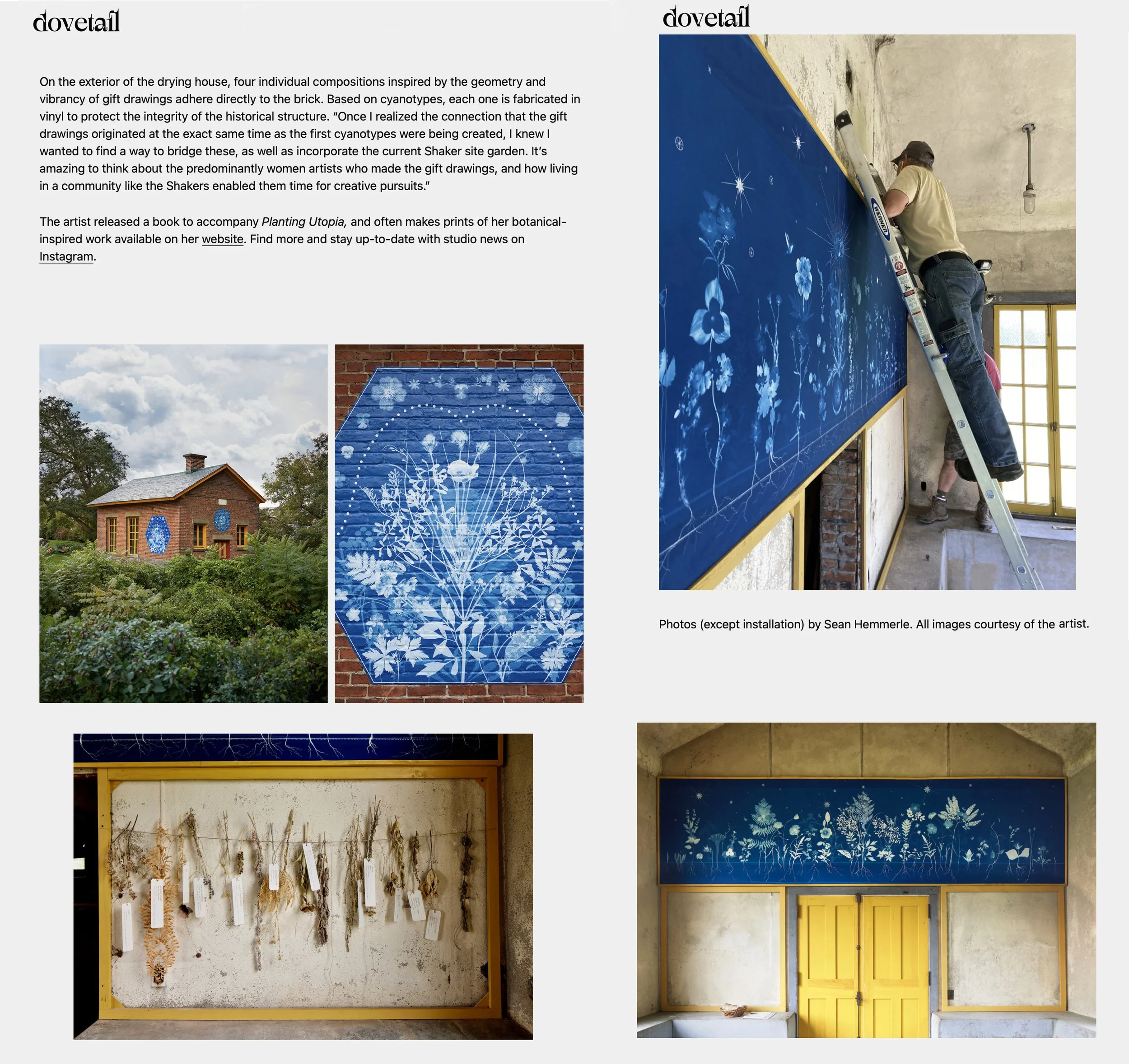 Dovetail Magazine, November 27, 2023