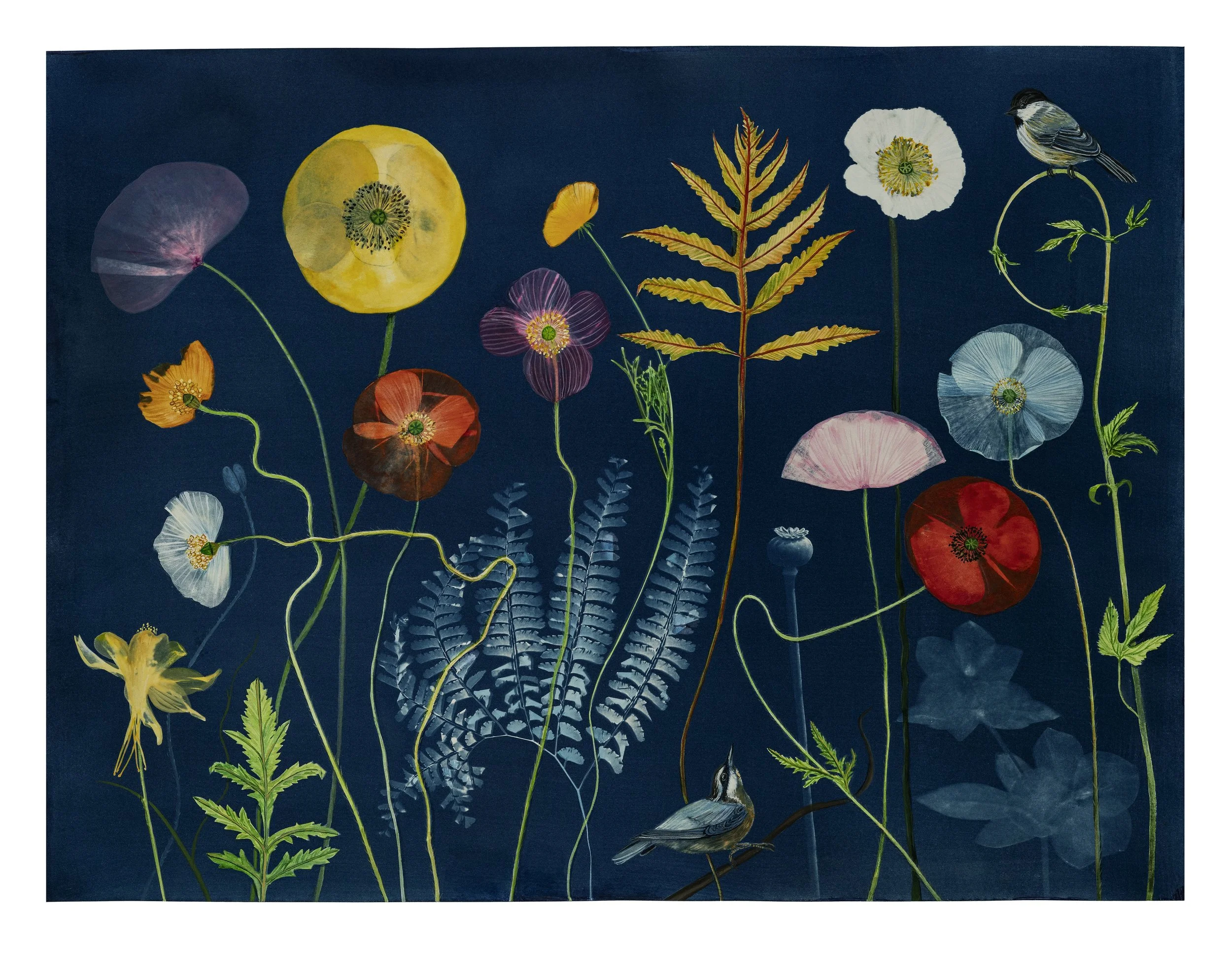 Picturesque Botany (Poppies, Fern, Nuthatch, Chickadee, etc.), 2026, 18" x 24" watercolor, gouache, India ink and cyanotype on watercolor paper   private collection  