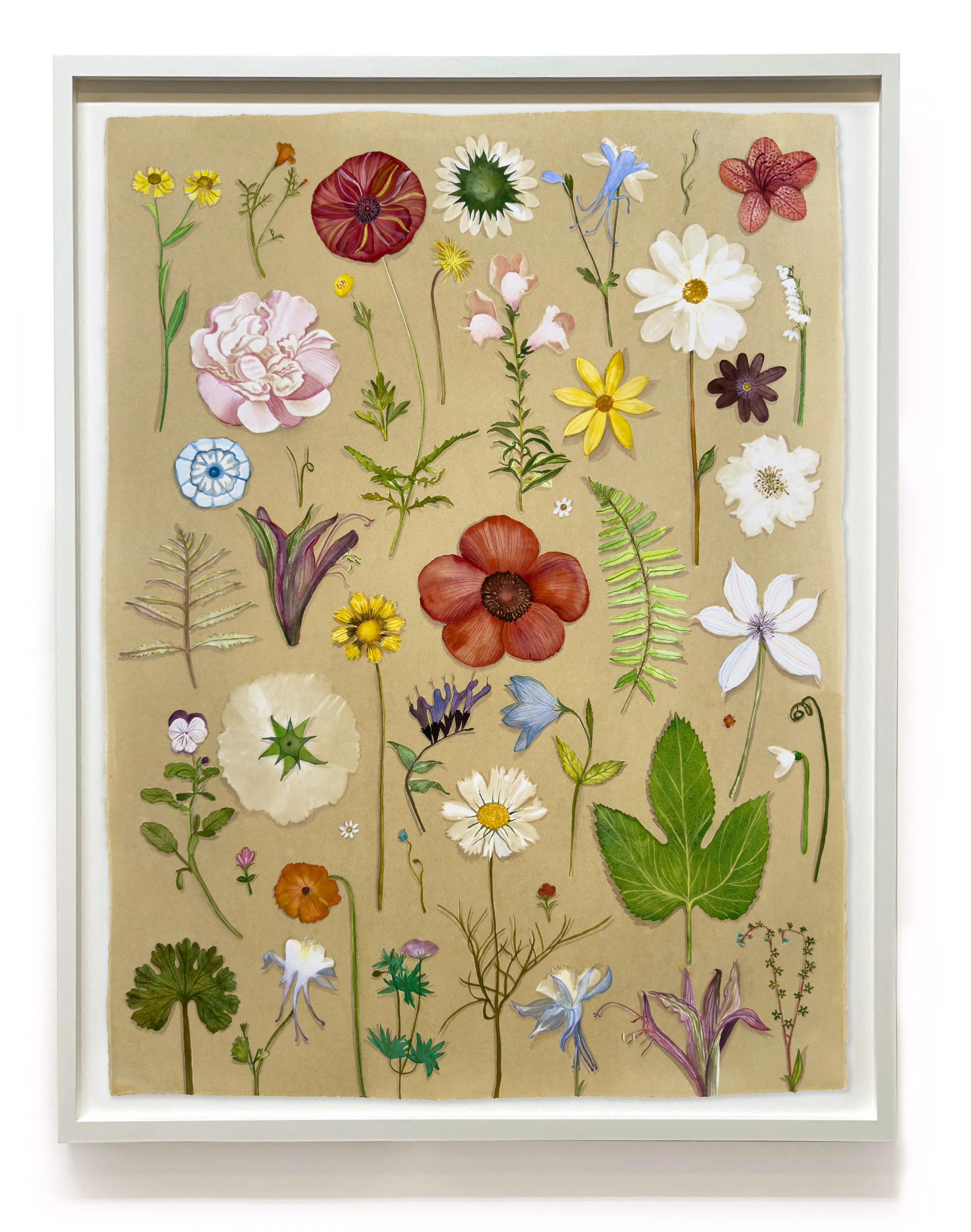 JWB_Luminous Nature:Herbarium II-framed.jpg