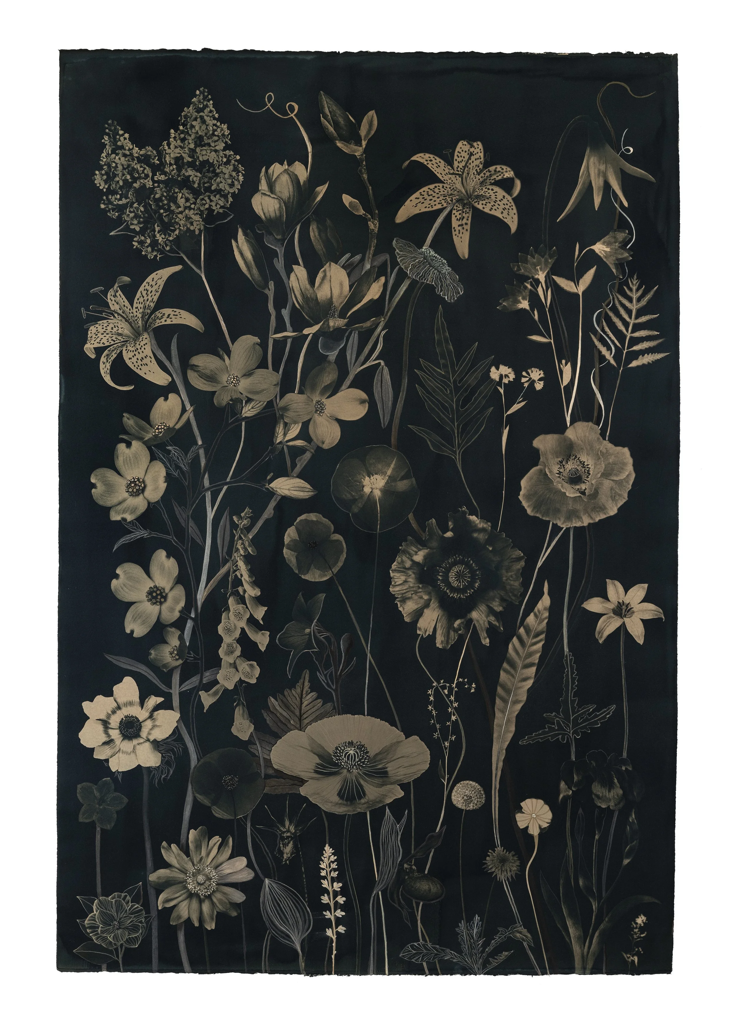 JWB_FloatingHerbarium_Sepia_44x30_PoppiesDogwoodLilyMagnoliaLilac_HEMM copy.jpg