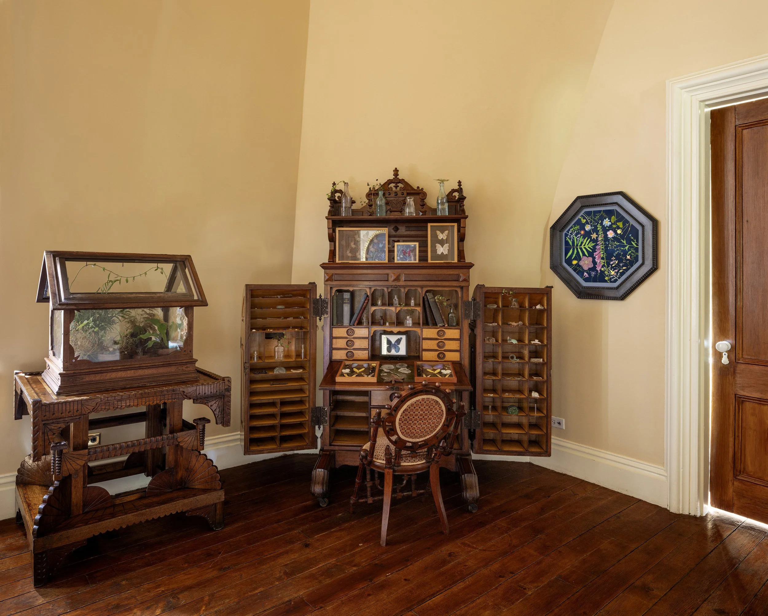 HEMMERLE_230621_0042-Pano_JWB edit copy.jpg